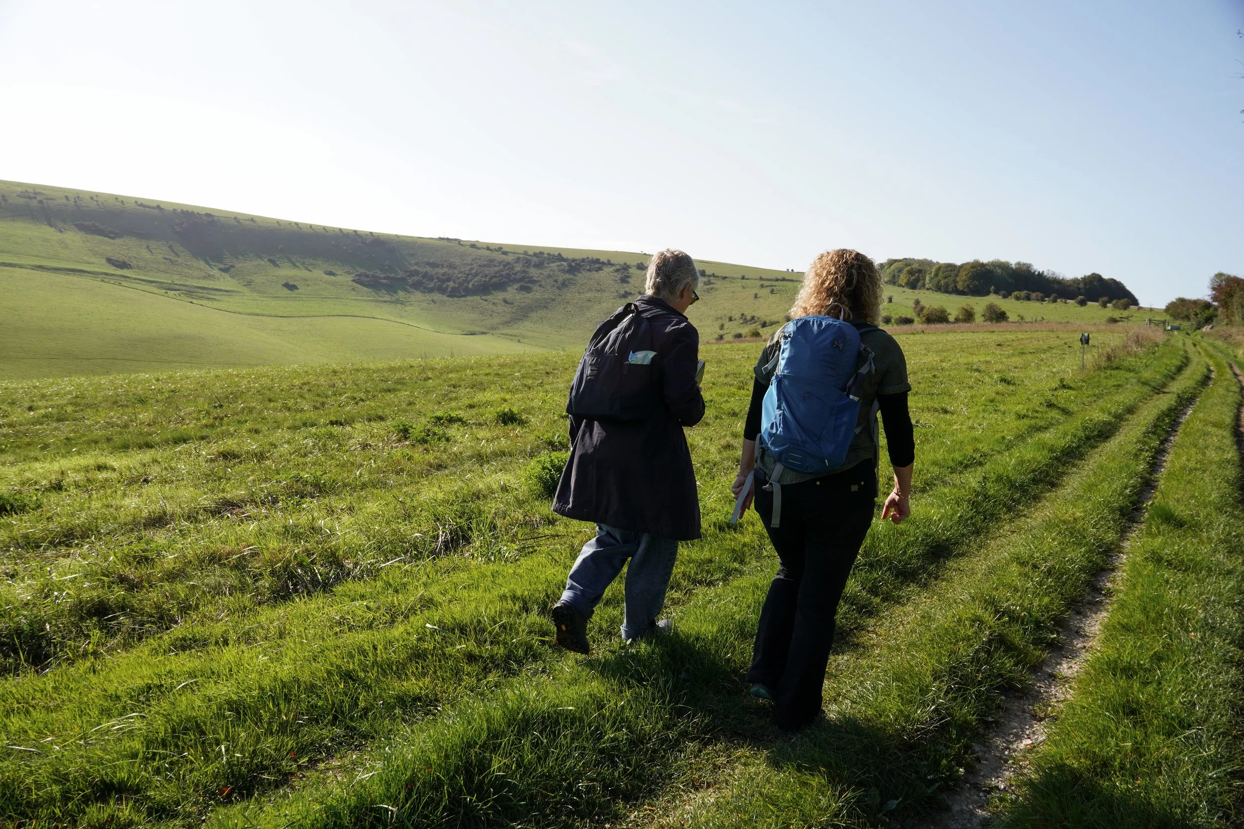 WalkingPartnershipsOct25-49.jpg