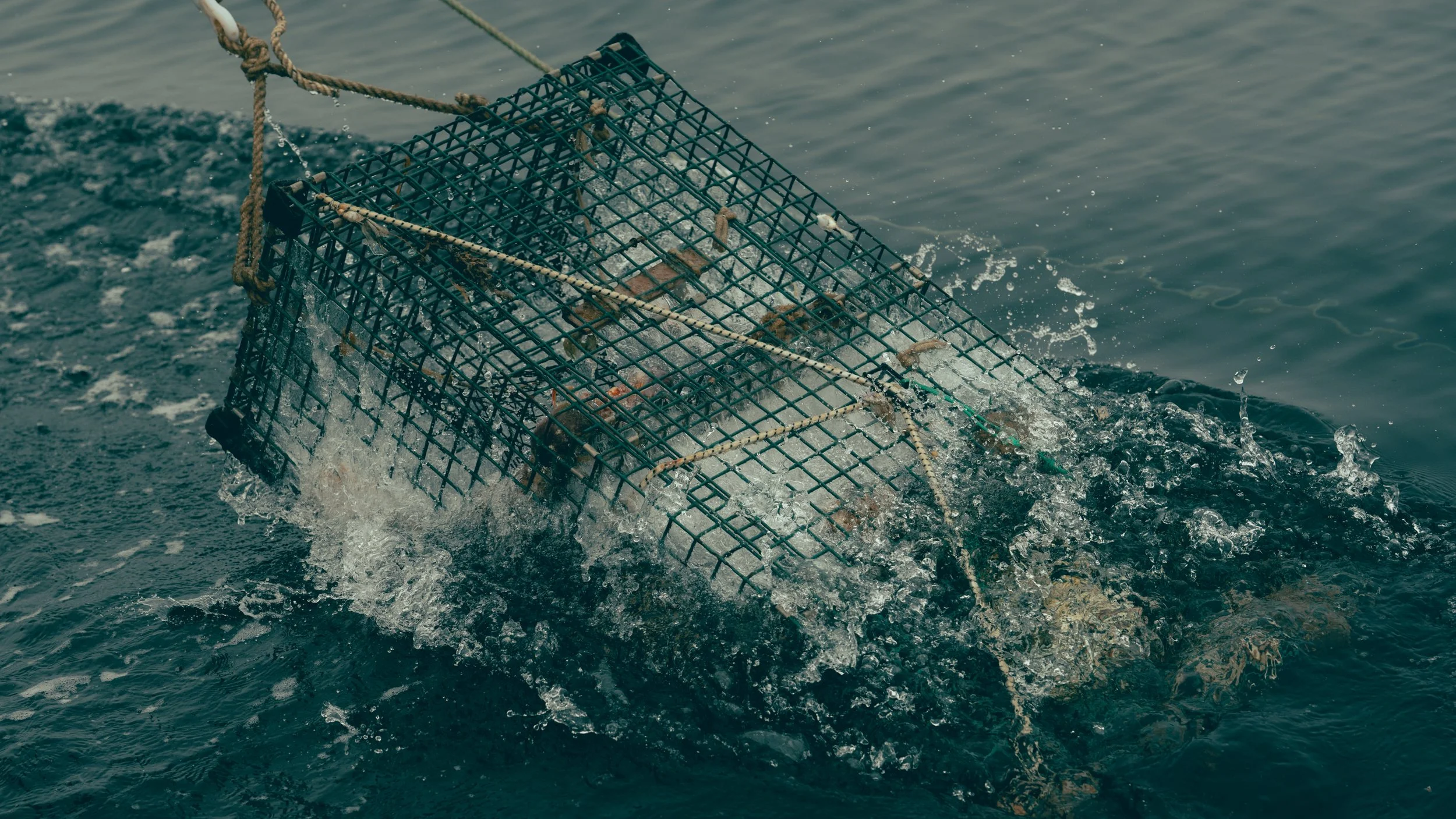 Finerty_2025_Nantucket_FLOTSAM_Juliealice_lobstering_offshore-138.jpg