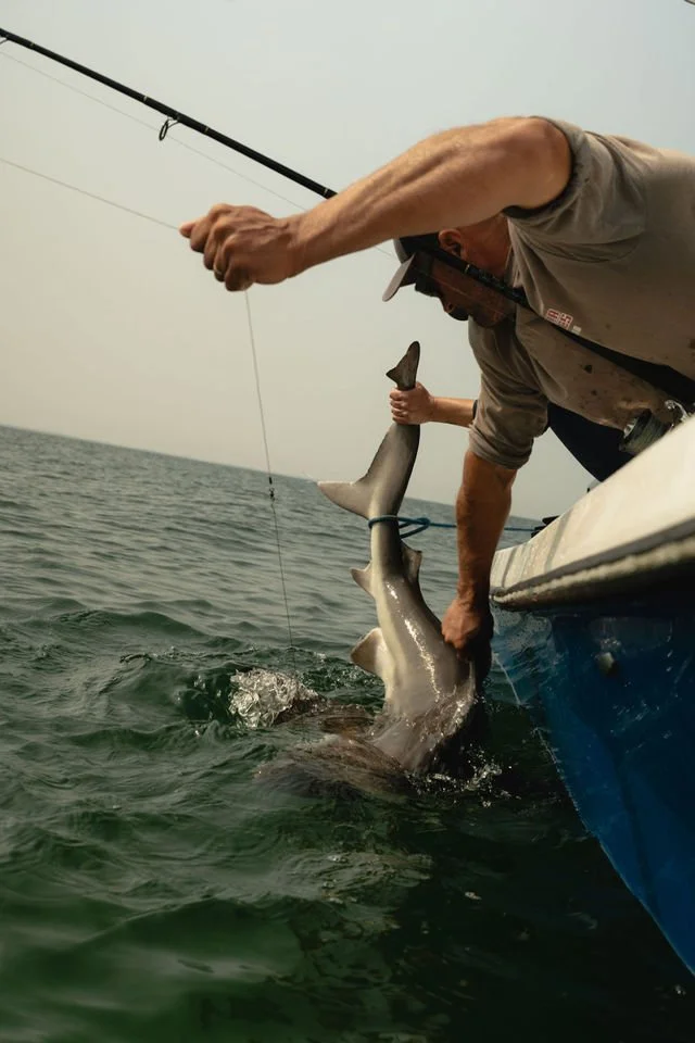 Finerty_2024_8-14_Nantucket_Fishing_NEA_CAroline_Sharks-41.jpg