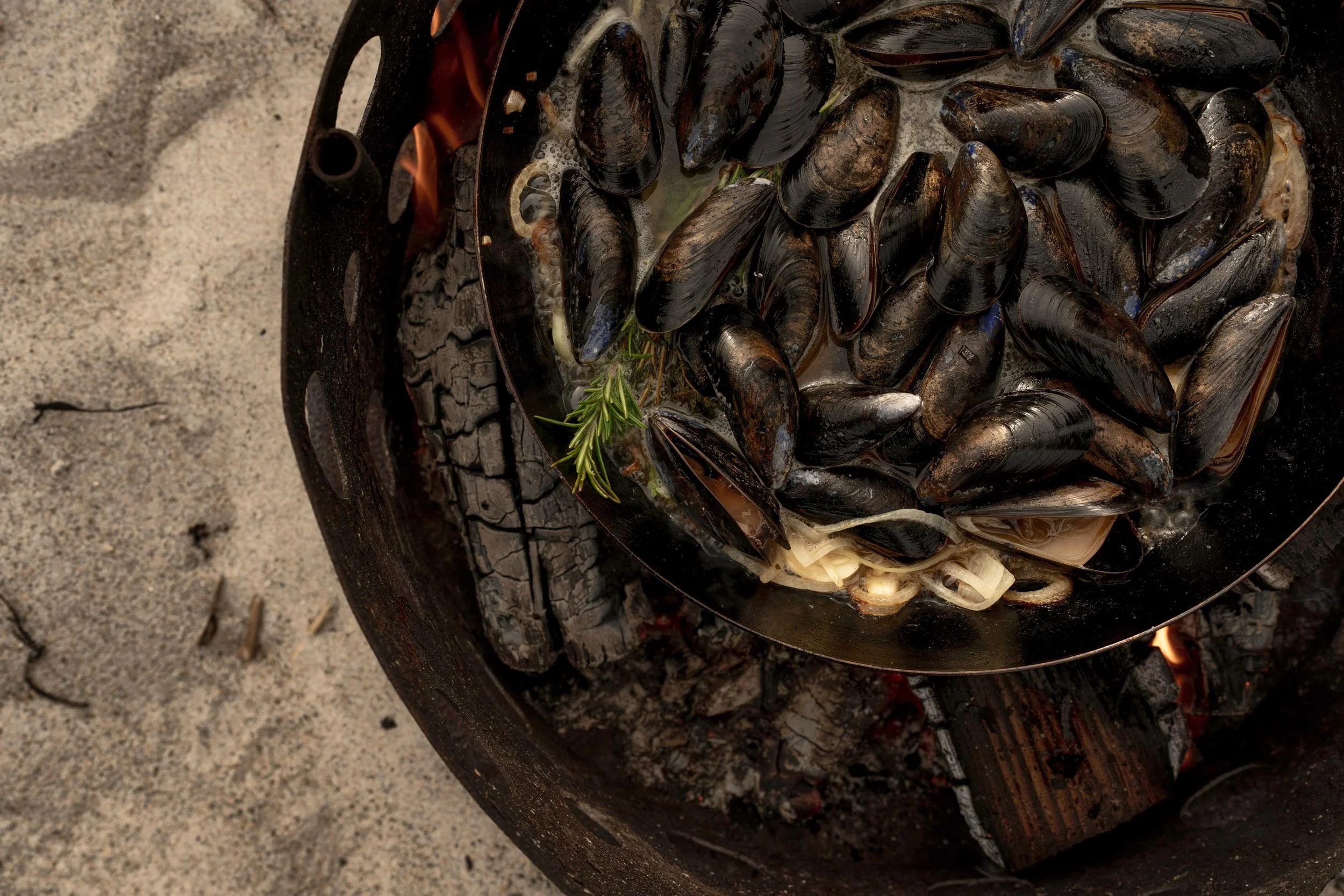2023_4-11_openfirecooking_fire1-152.jpg