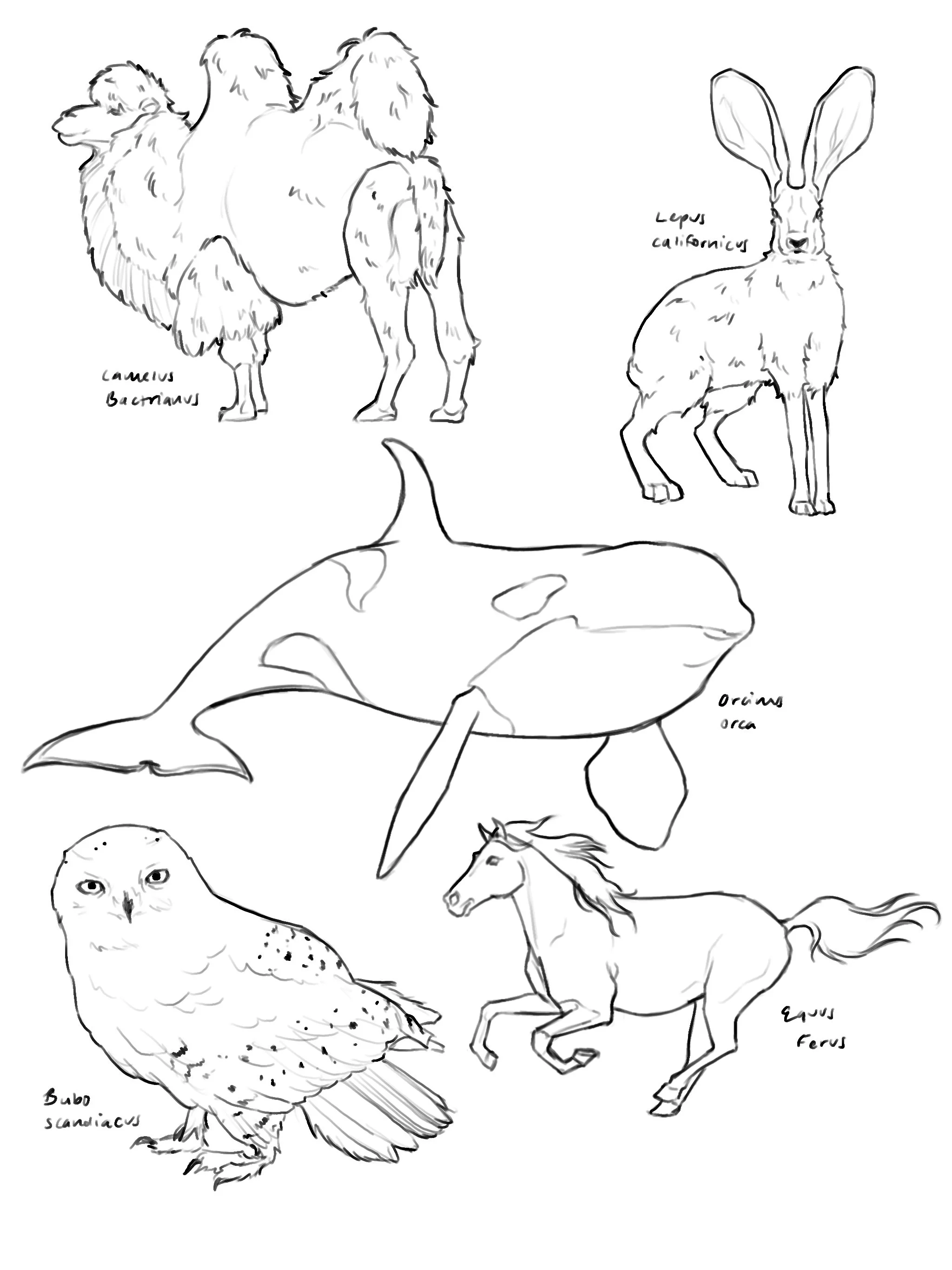 Untitled_Artwork 2.jpg