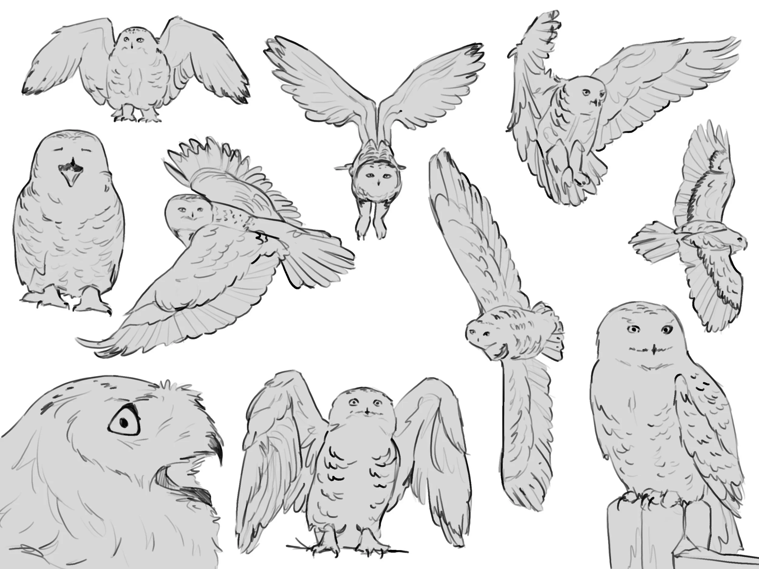 Untitled_Artwork (12).jpg