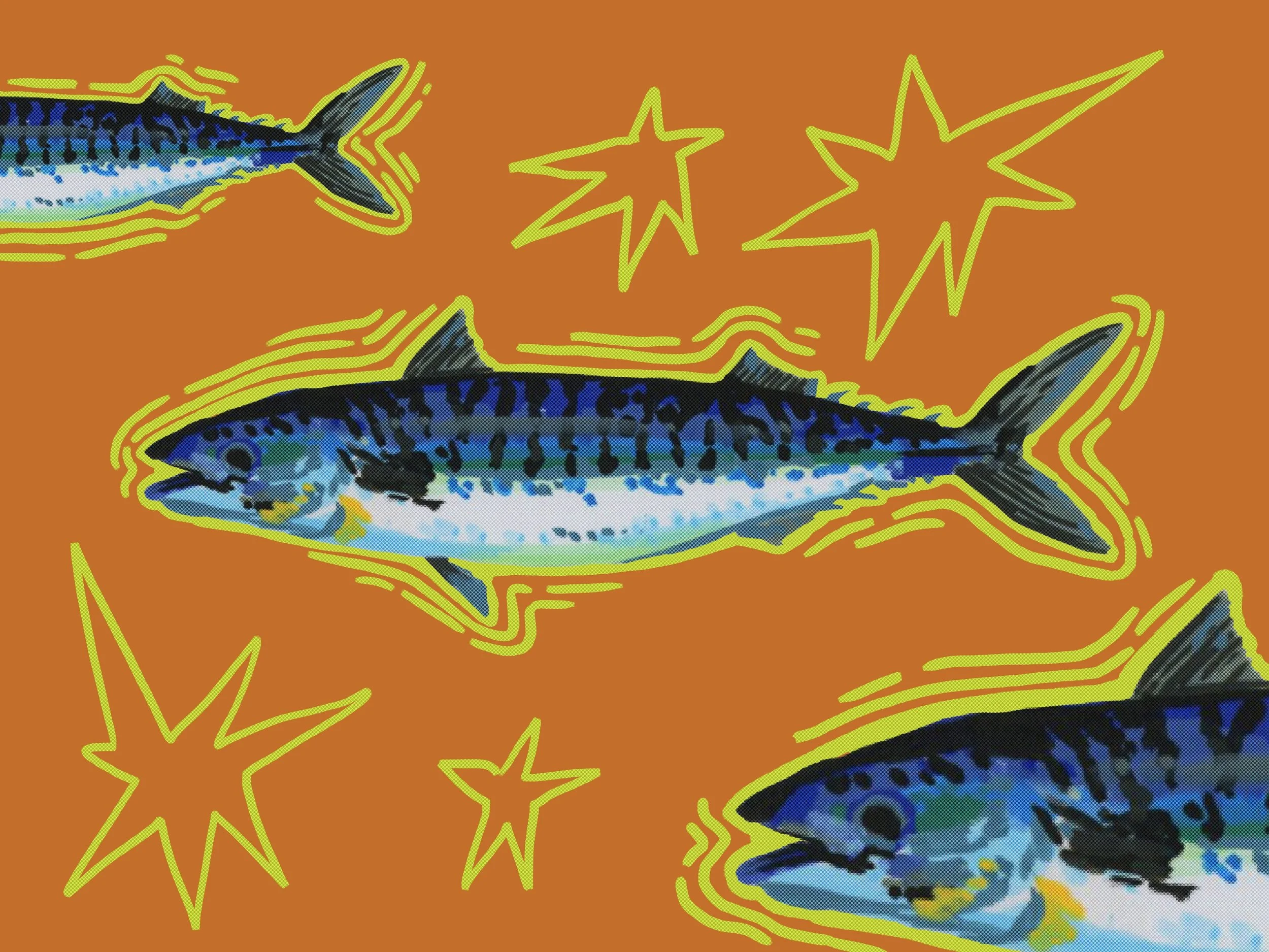 Mackerel