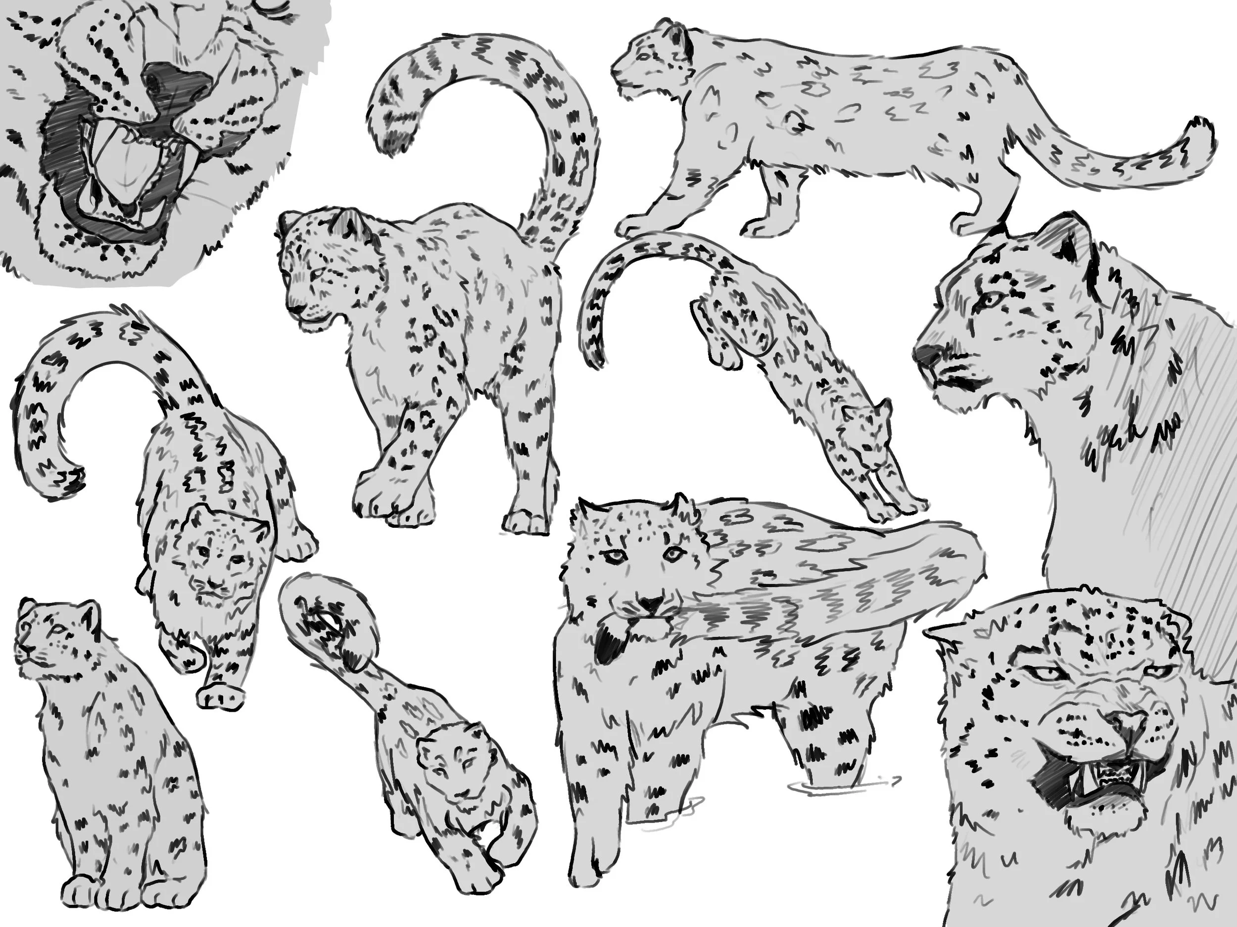 Untitled_Artwork 1 (1).jpg