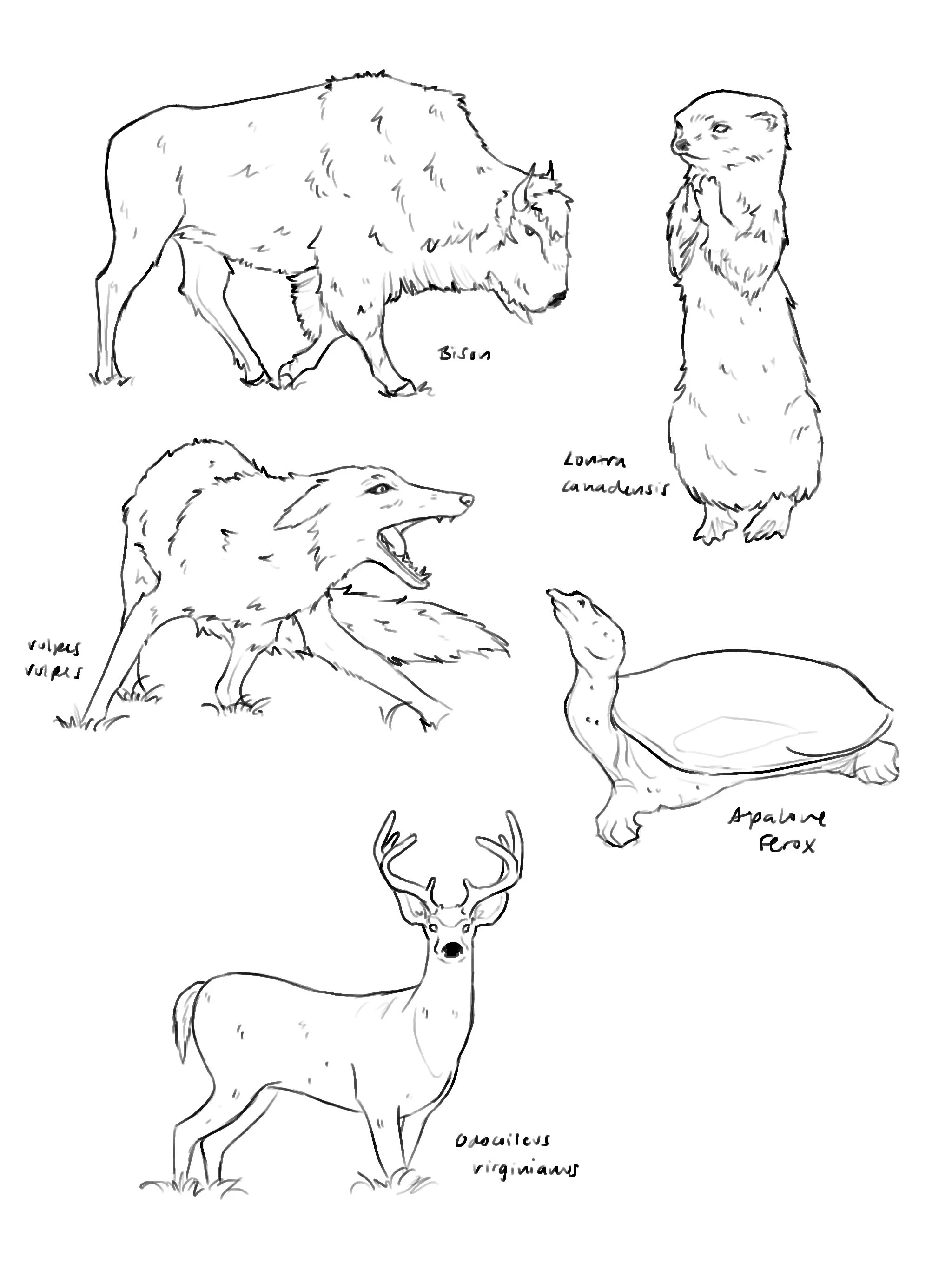 Untitled_Artwork 3.jpg