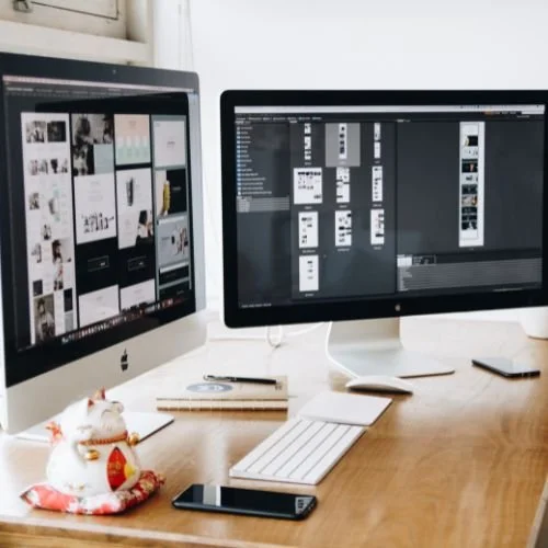Website Development & Design