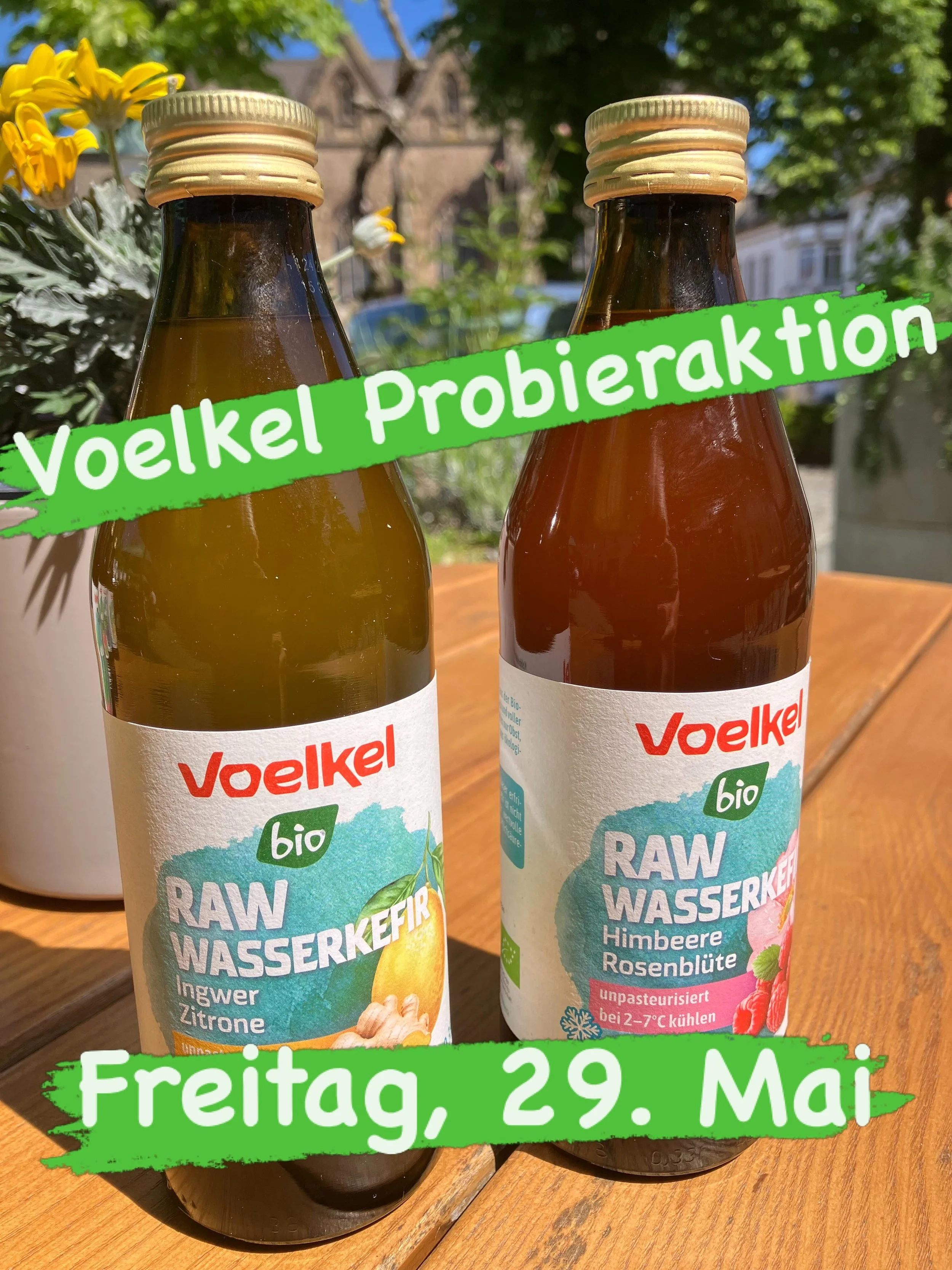 Am Freitag gibt es Erfischendes bei uns zu probieren! Dabei erf&auml;hrst du Wiisenswertes &uuml;ber Kombucha und Wasserkefir! #rawkombucha  #wasserkefir  #bioladenostercappeln