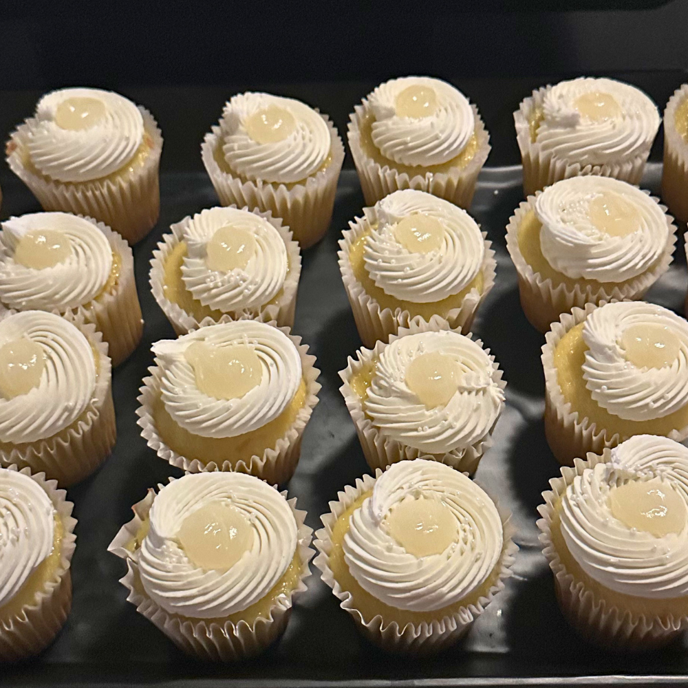 Premium Cupcakes