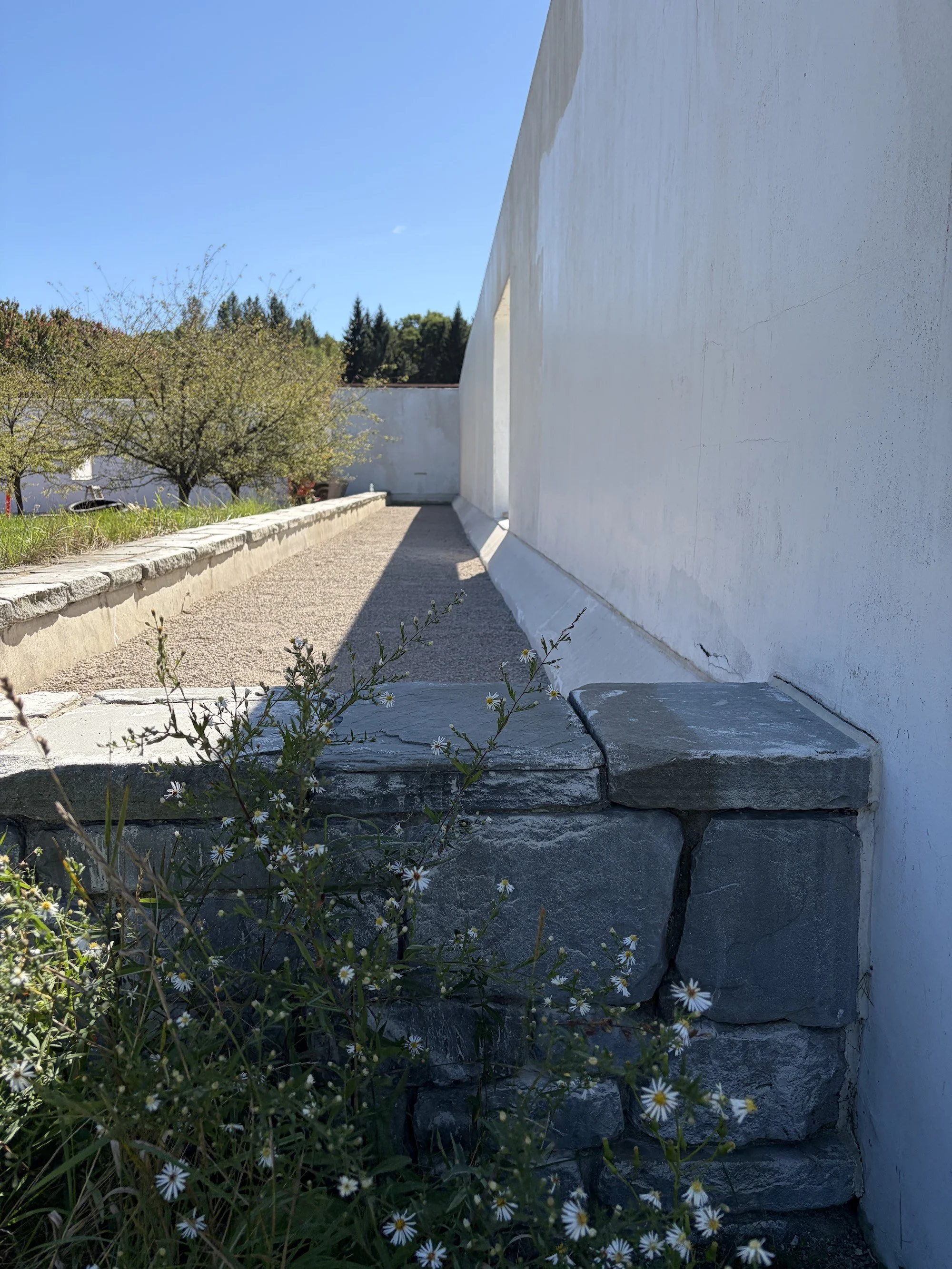 Wildflowers beside a stone retaining wall and narrow gravel path.