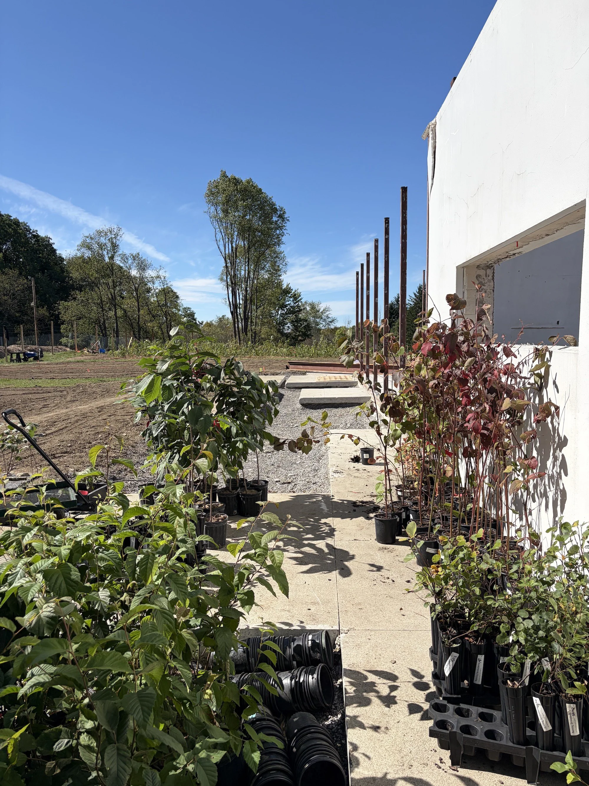 Rows of potted plants along a path beside retained walls and steel columns.