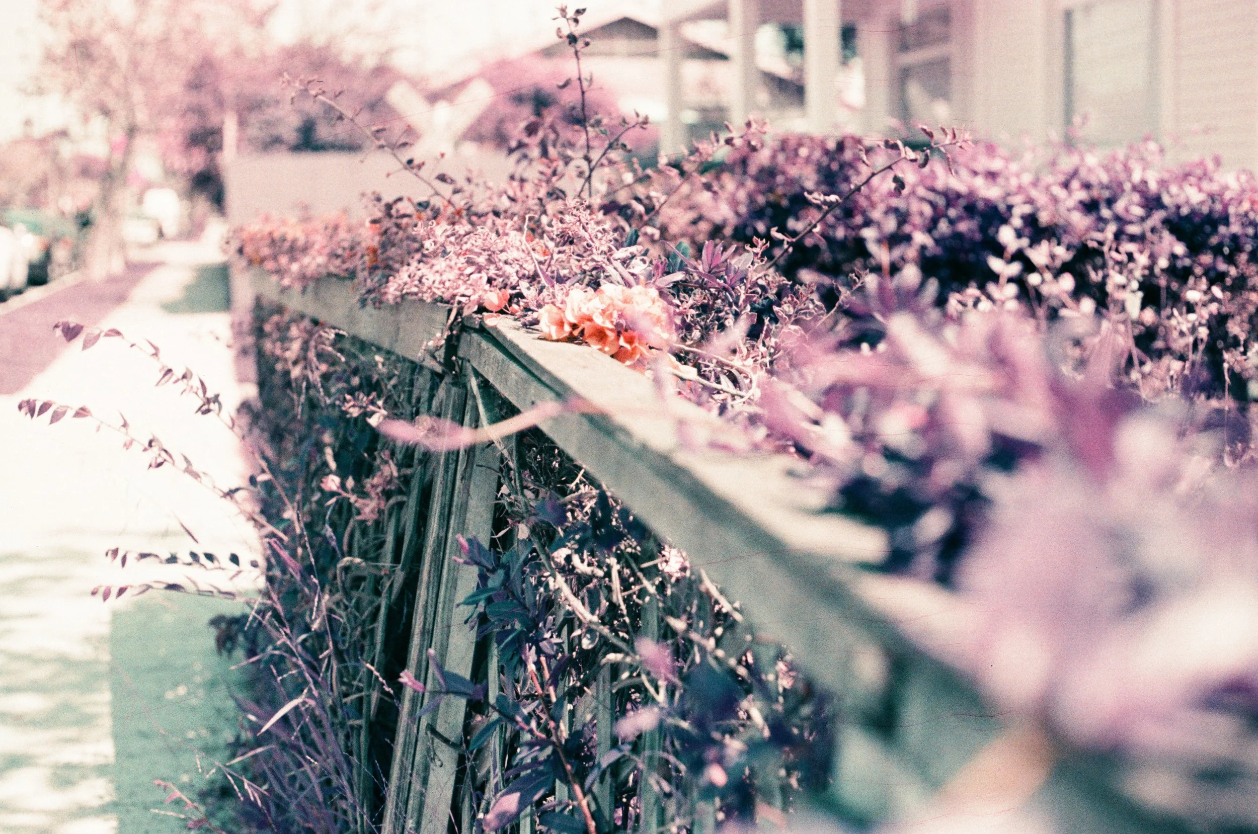 SS 08_ when you were mine.jpg