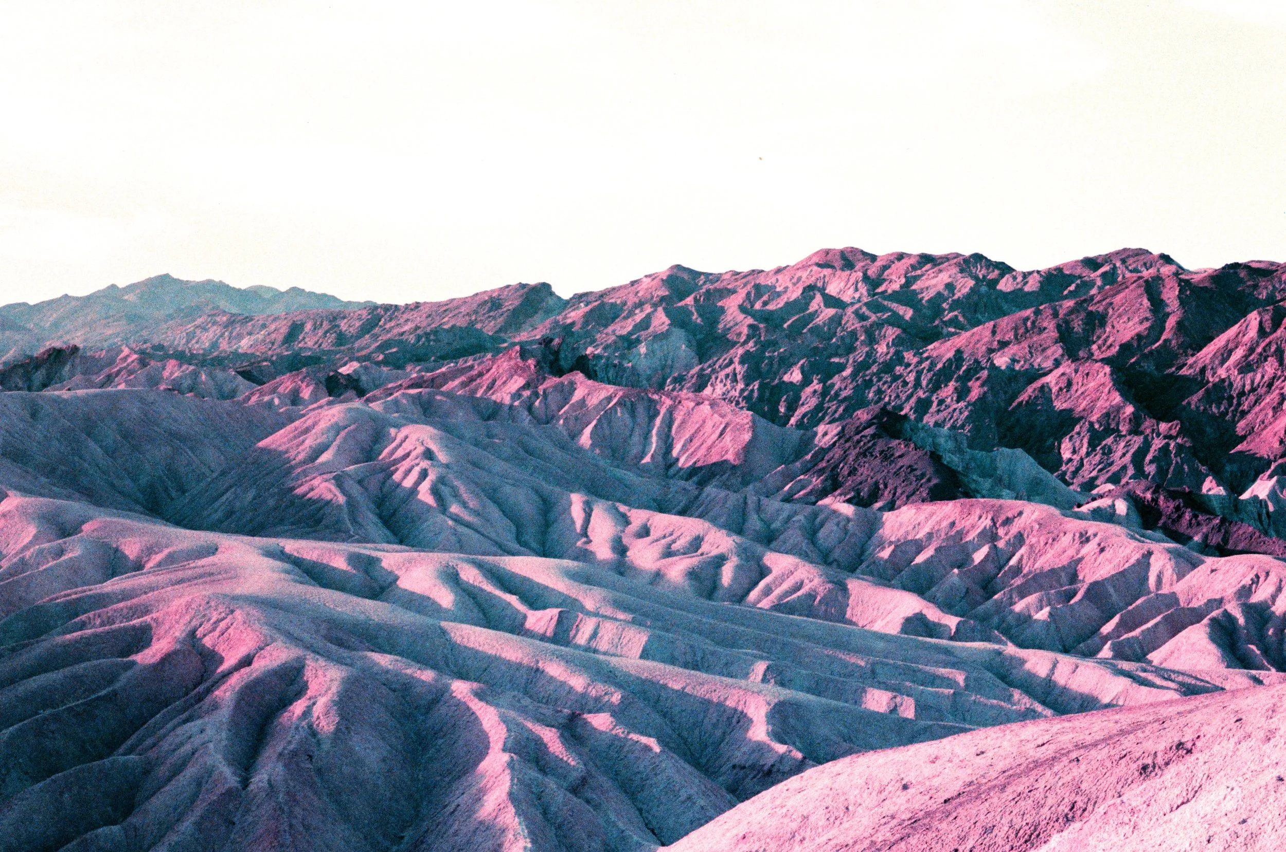 SS 10_needle in the hay.jpg