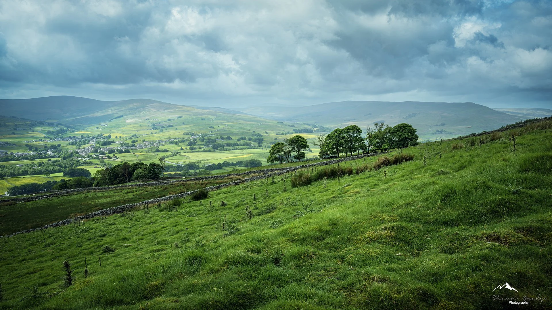Green rolling hills of Yorkshire with scattered trees and a stone wall, under a cloudy sky in a rural landscape.