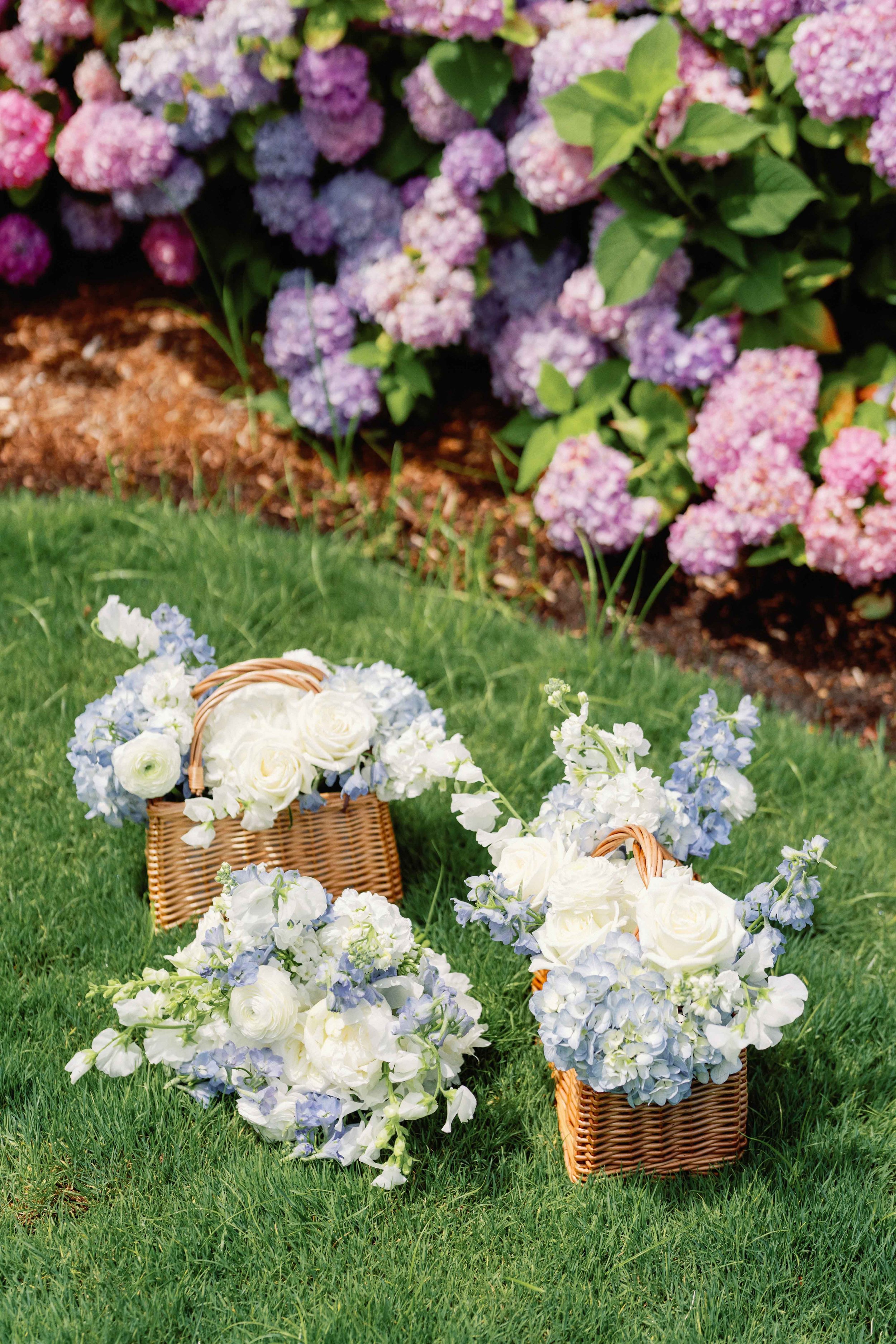 Blue and white hydrangea floral baskets sitting on the grass next to pink hydrangeas