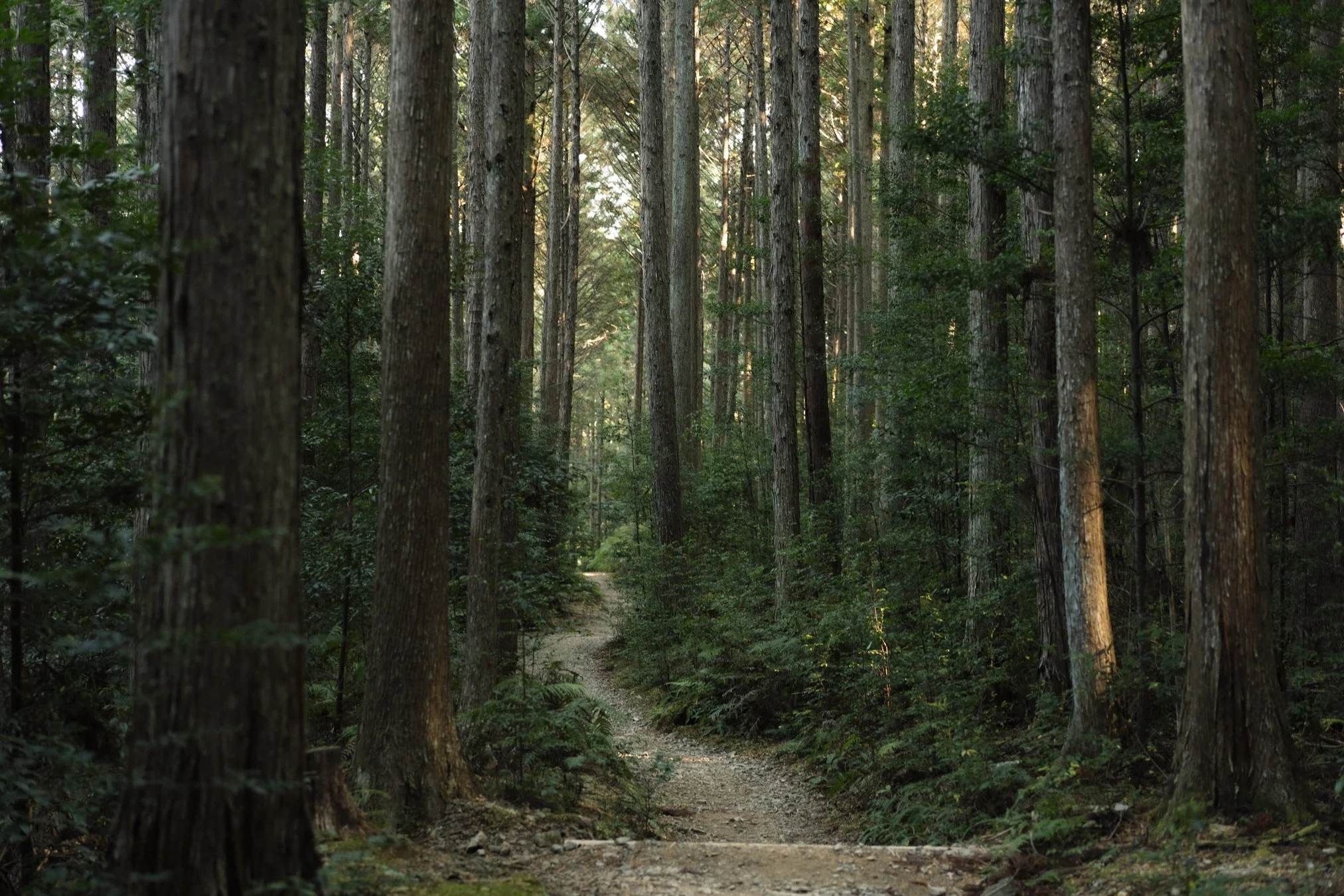 kumano portfolio-01385.jpg