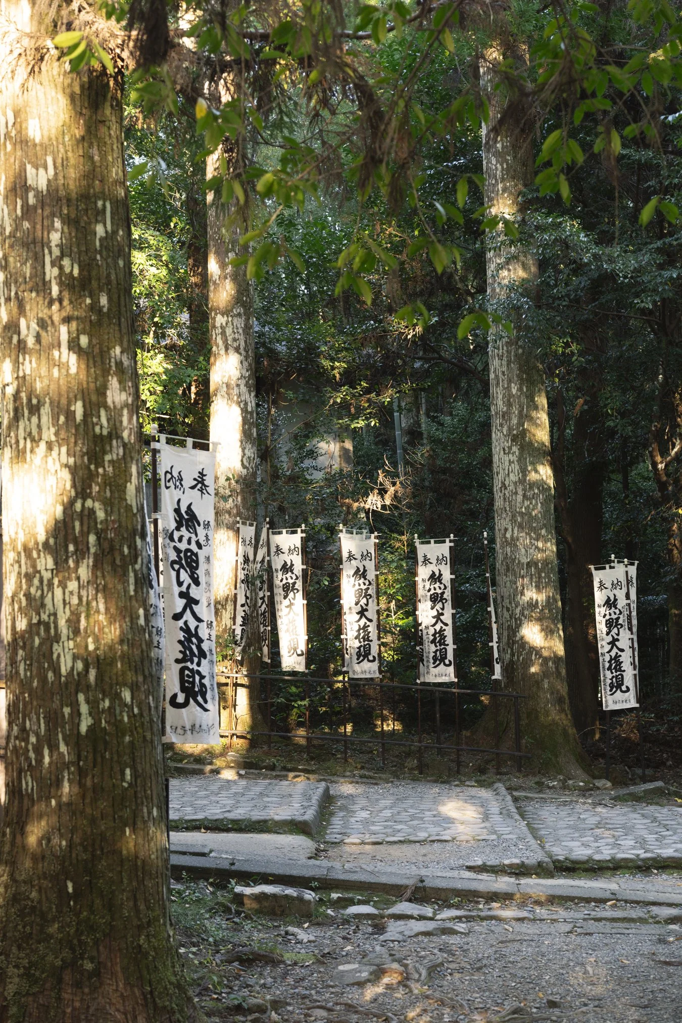 kumano portfolio-01507.jpg