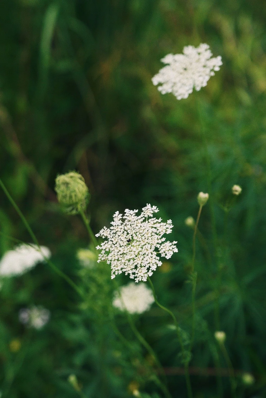 9E336E08-2B9F-4F3D-950F-86D2B4683C9B 2.JPG