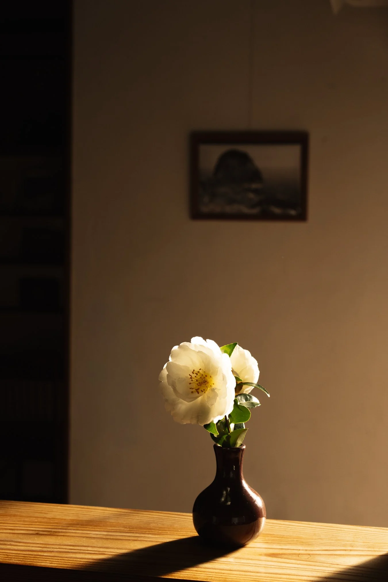 kumano portfolio-01998.jpg