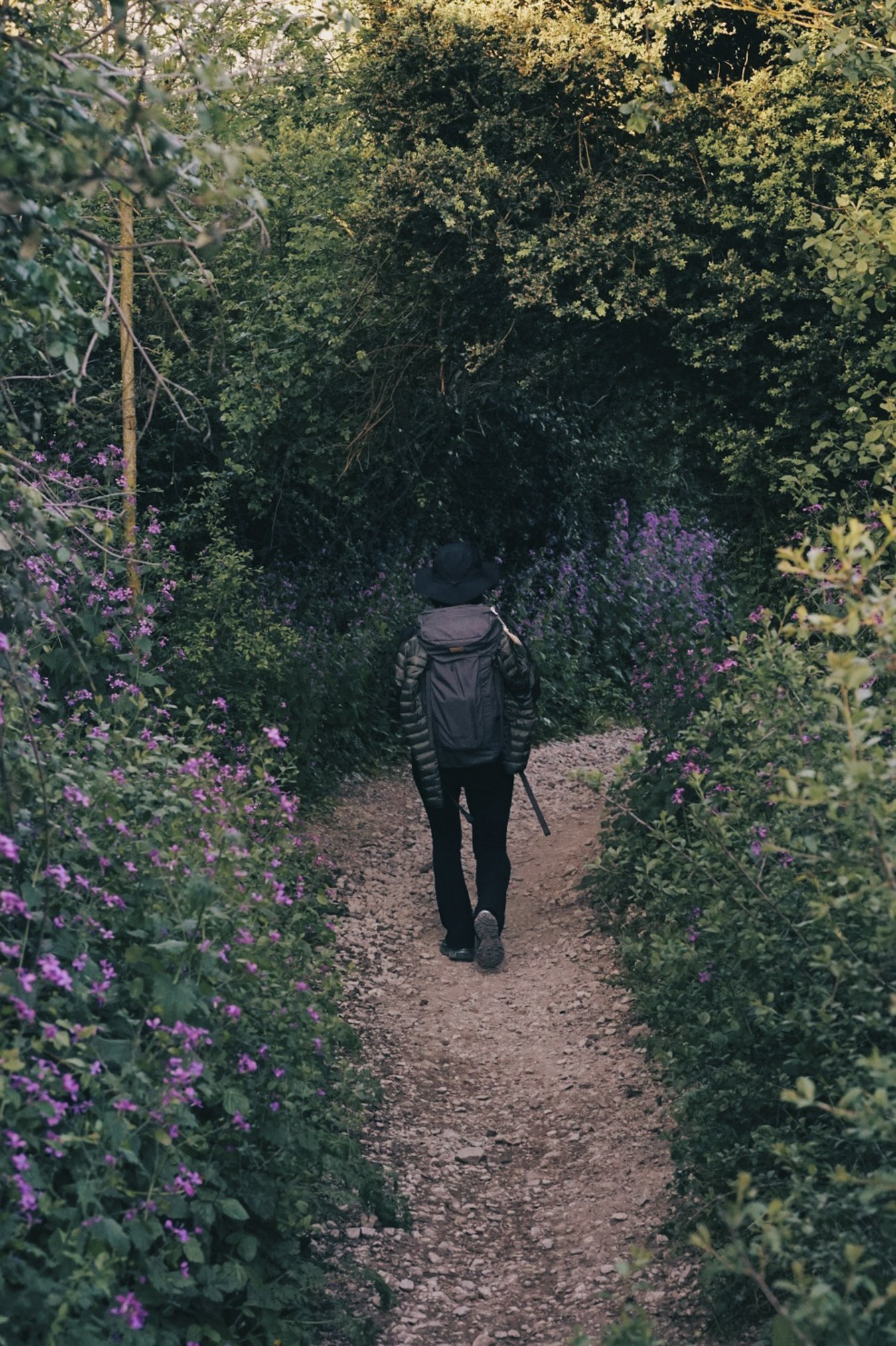 camino--3.jpg