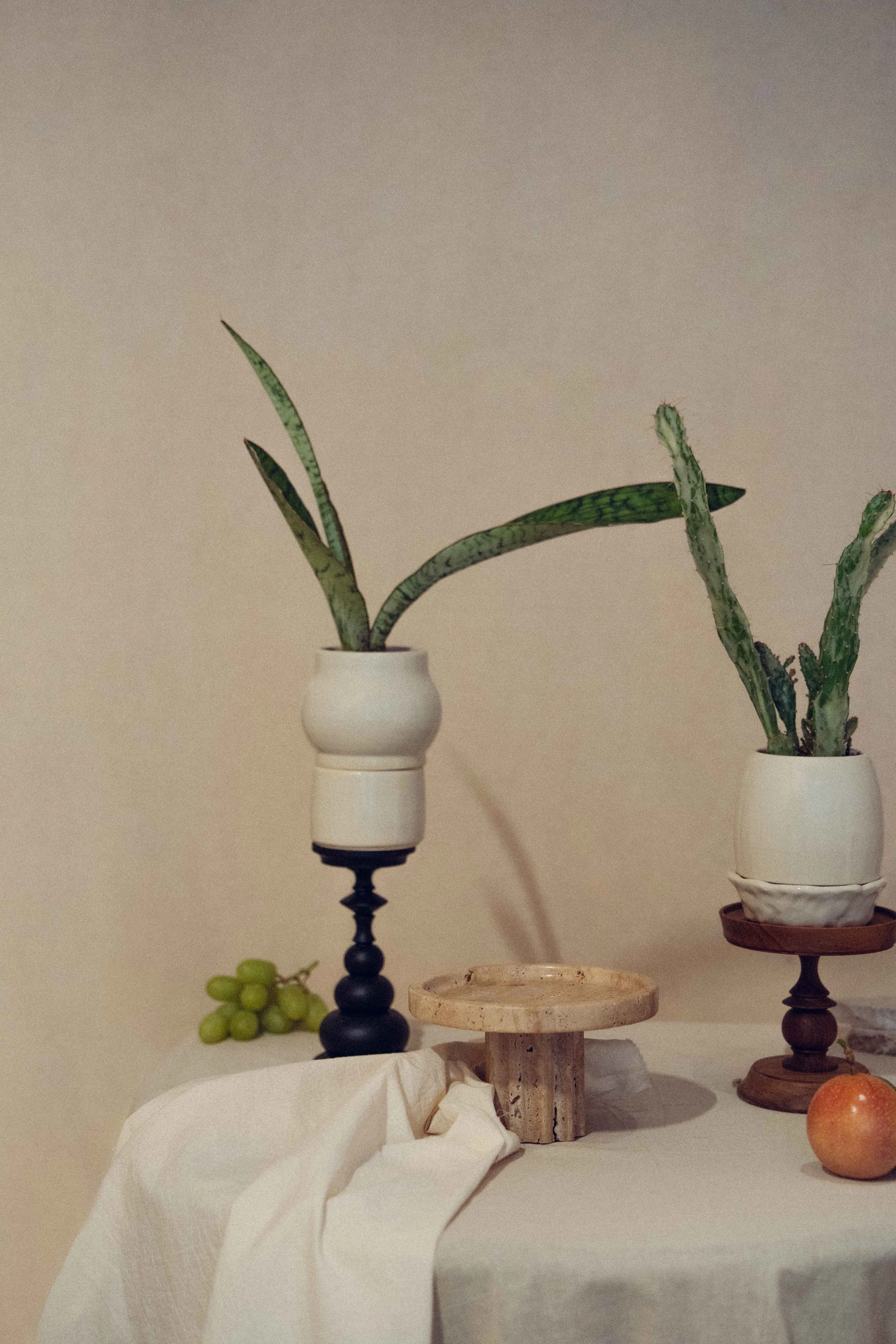 20241105-DSC03981 (1).jpg