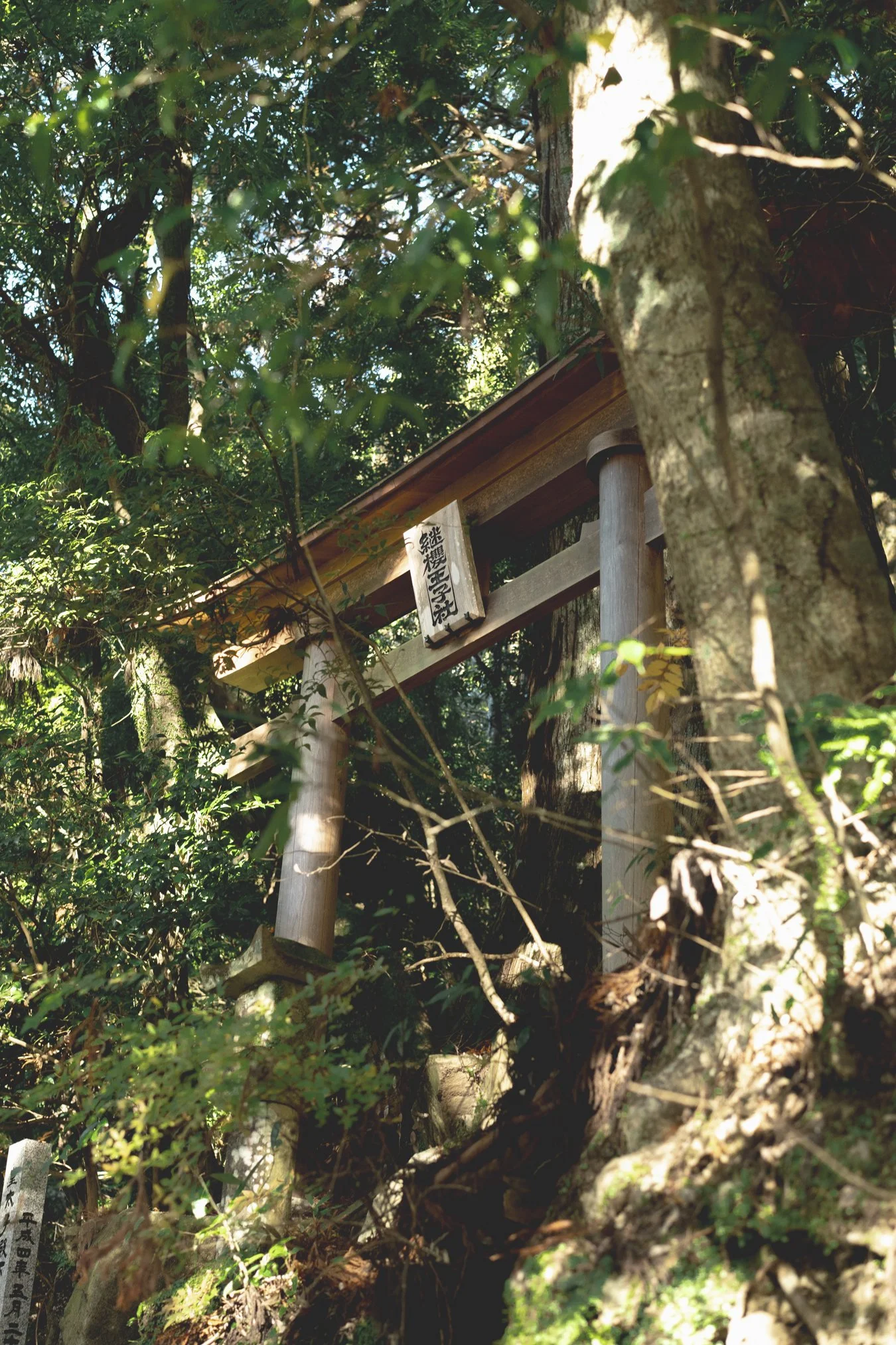 kumano portfolio-01213.jpg