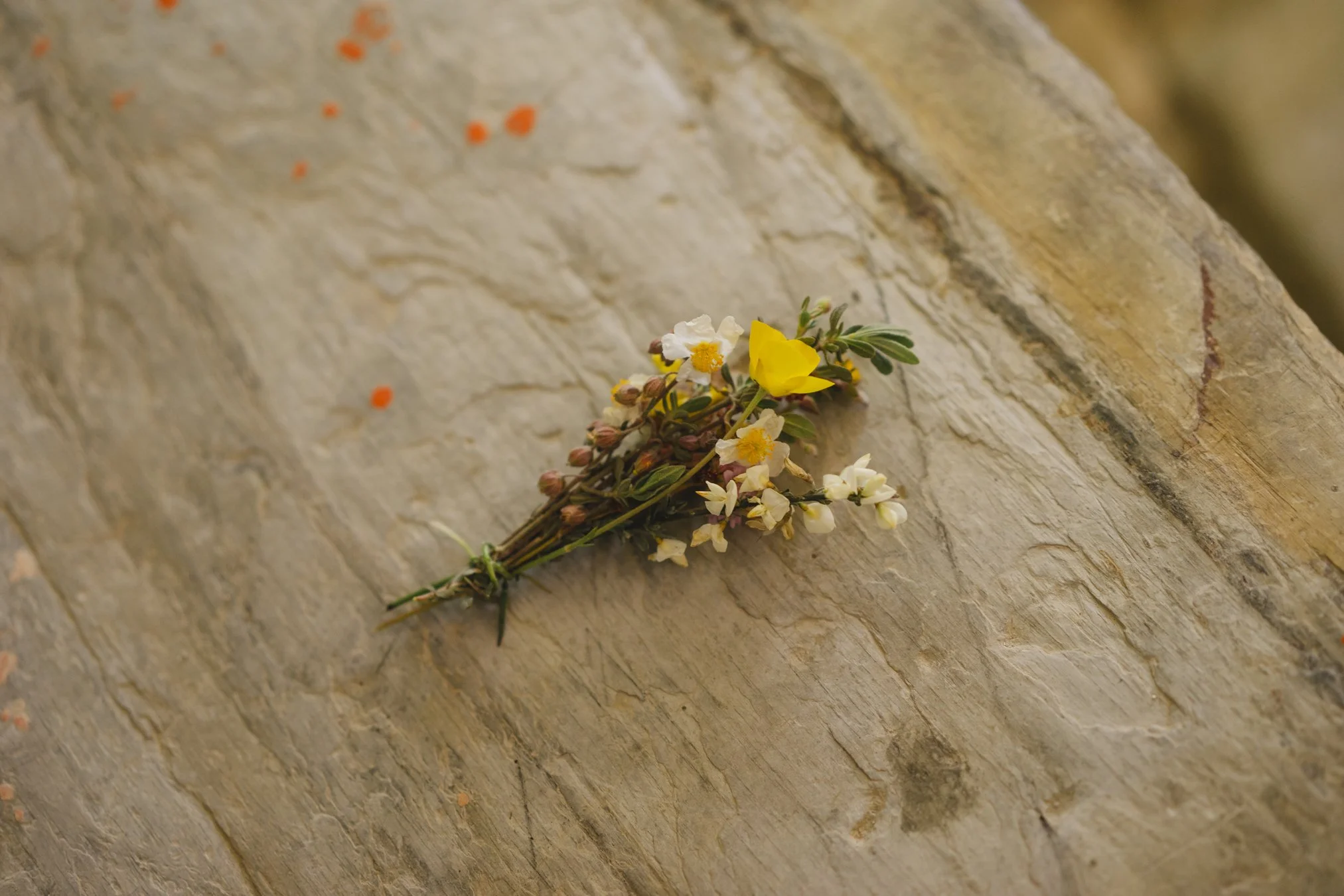 camino portfolio-09484.jpg