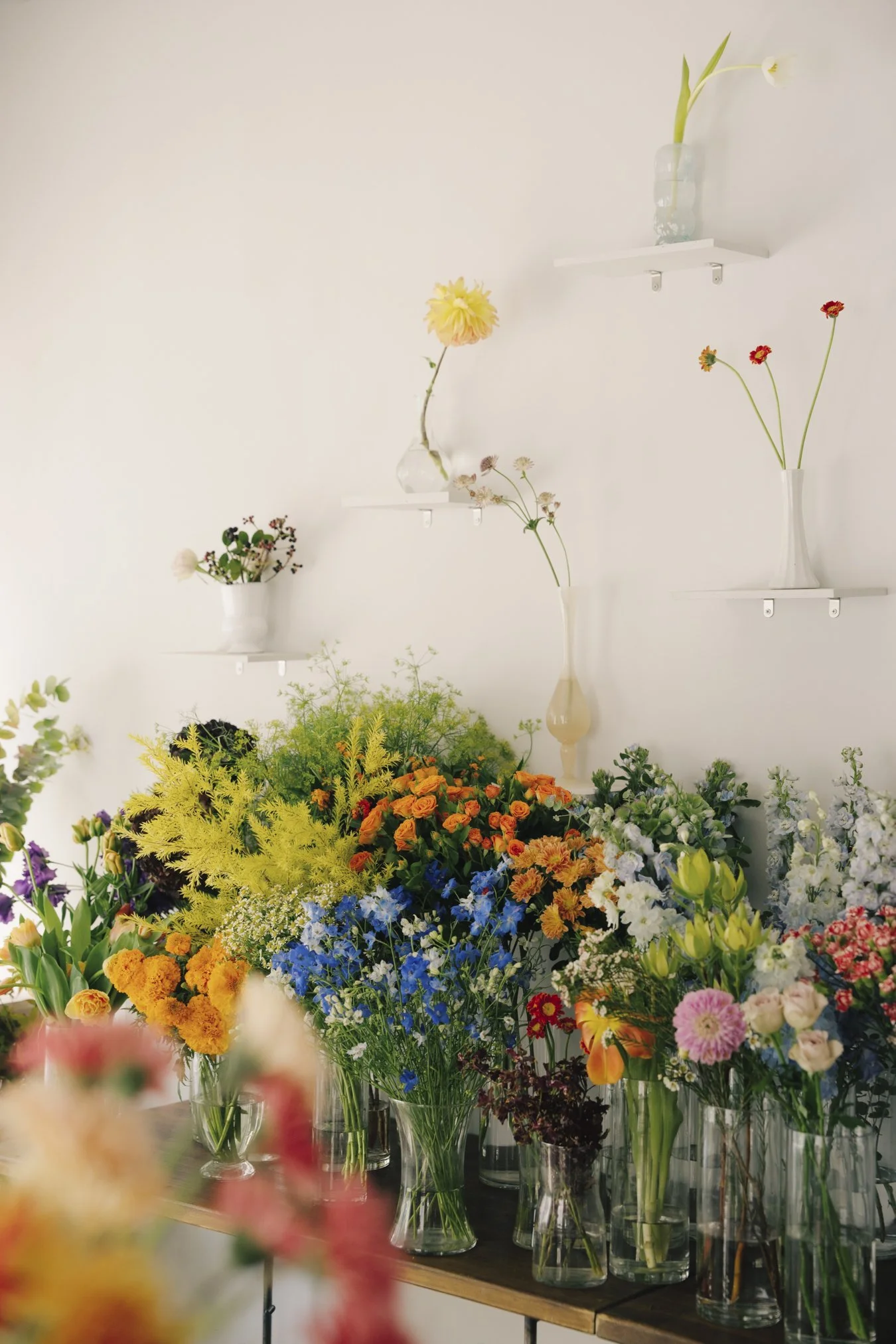 Campaign for Miki W. studio