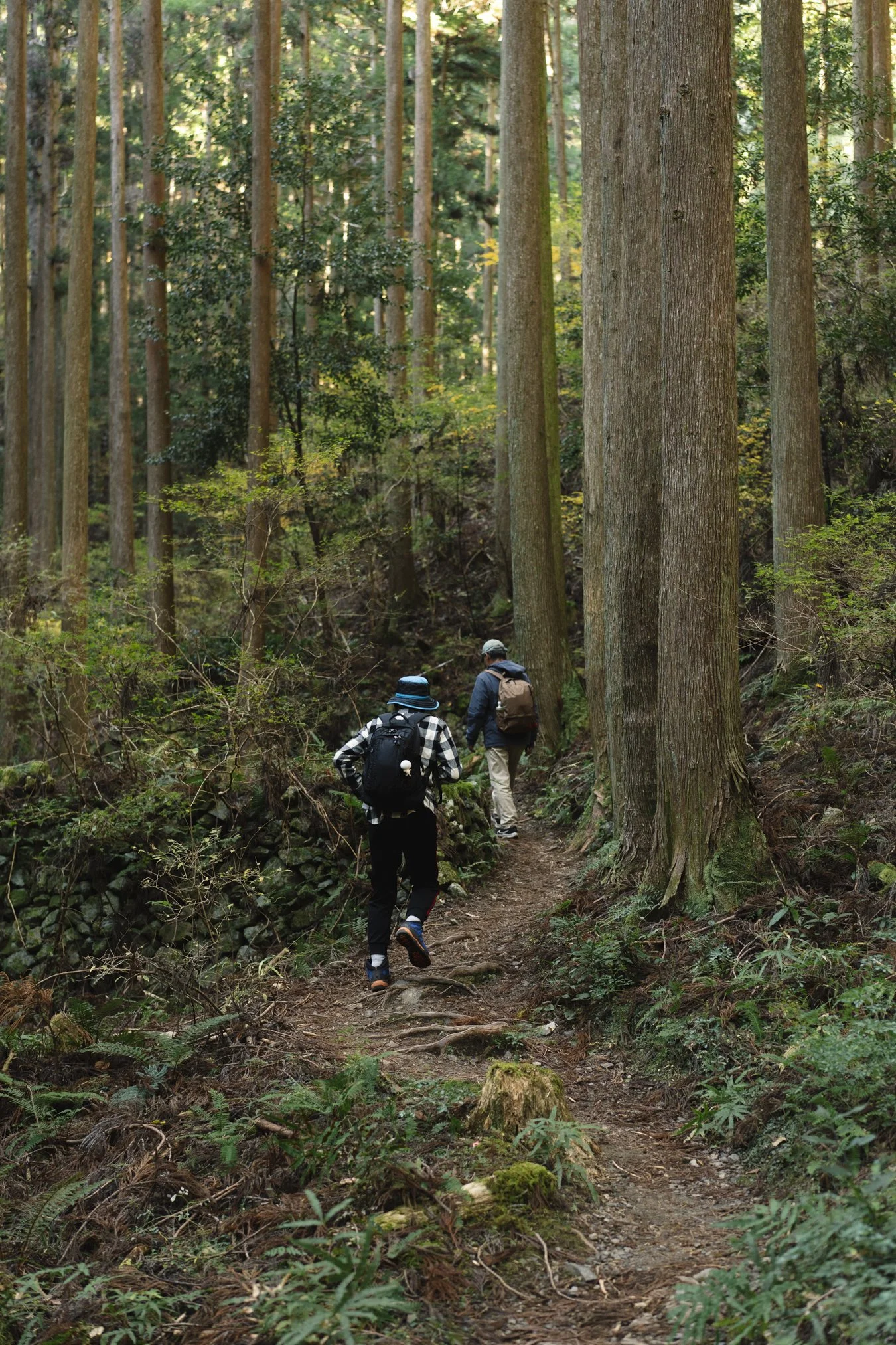 kumano portfolio-01123.jpg