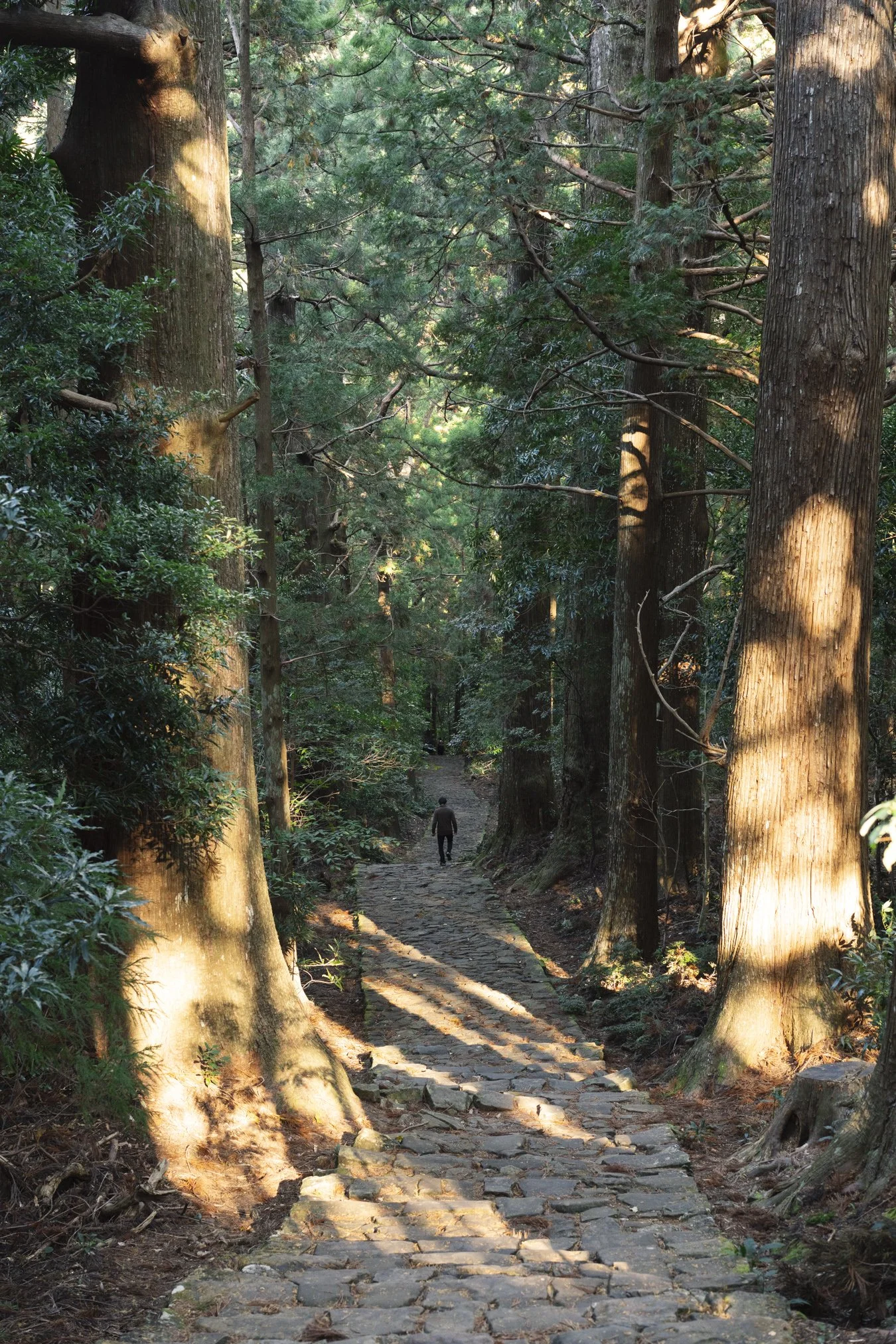 kumano portfolio-01799.jpg