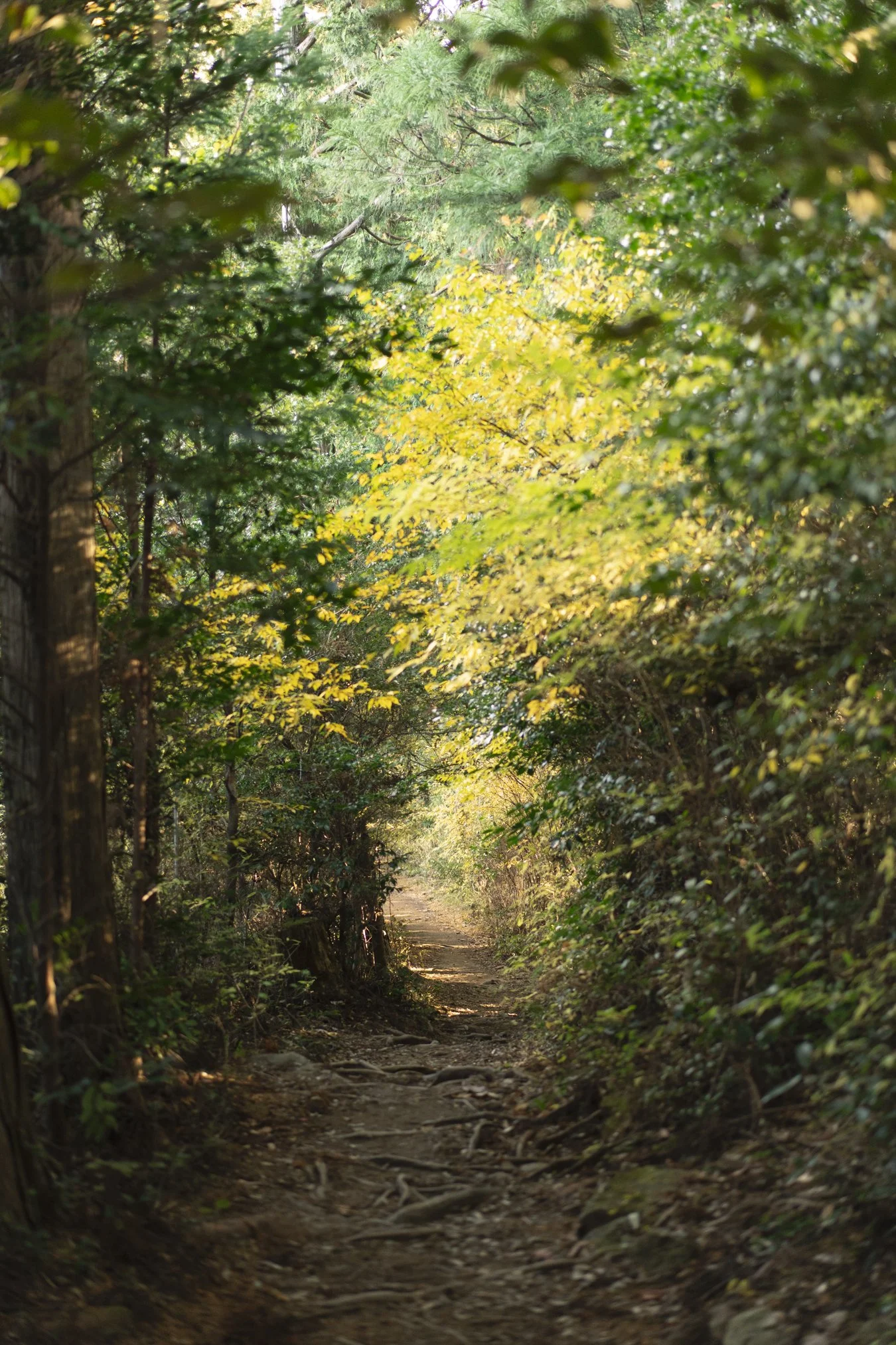 kumano portfolio-01028.jpg