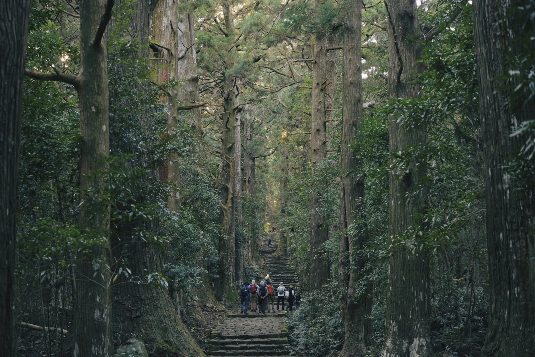 kumano-96.jpg