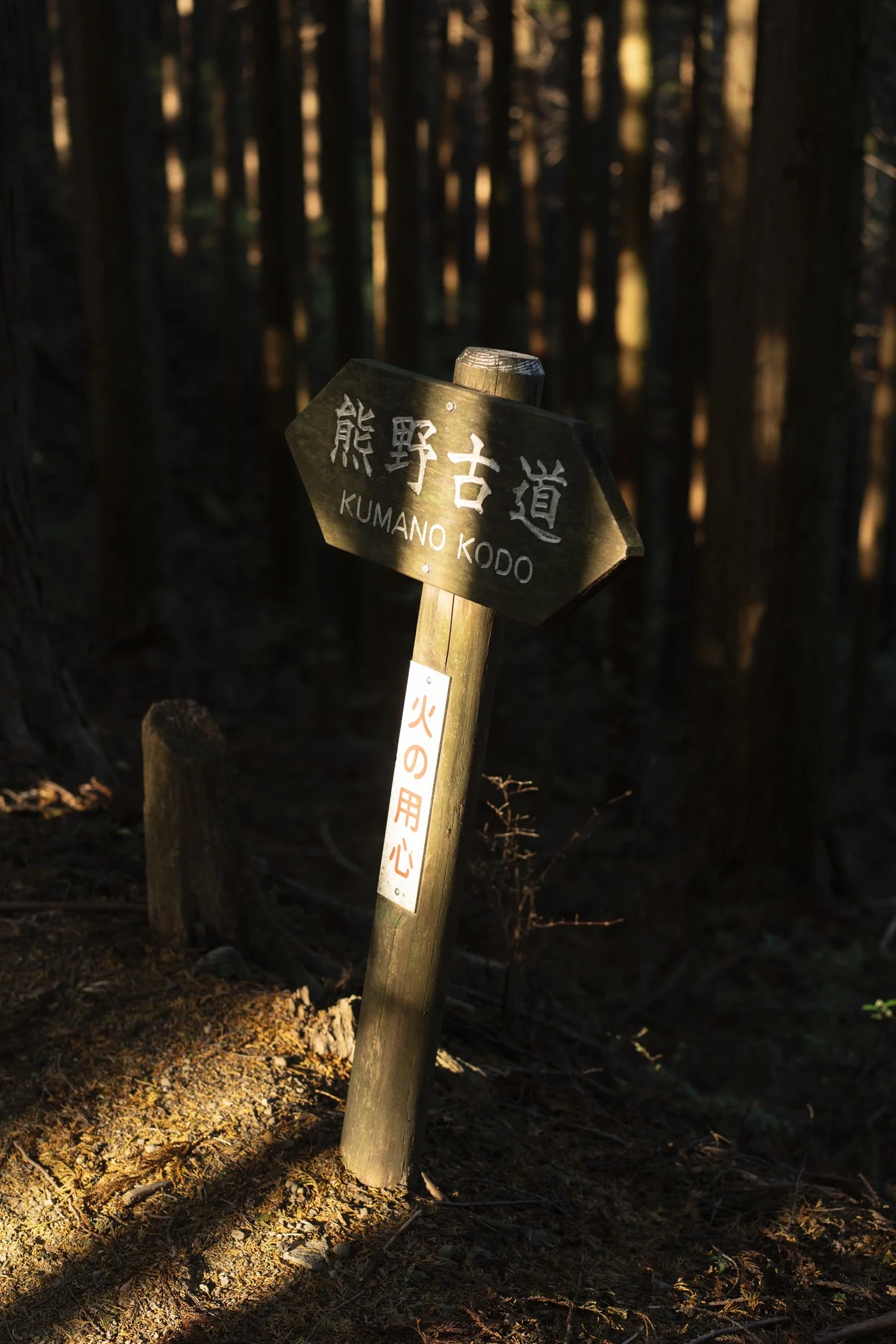 kumano portfolio-01041.jpg