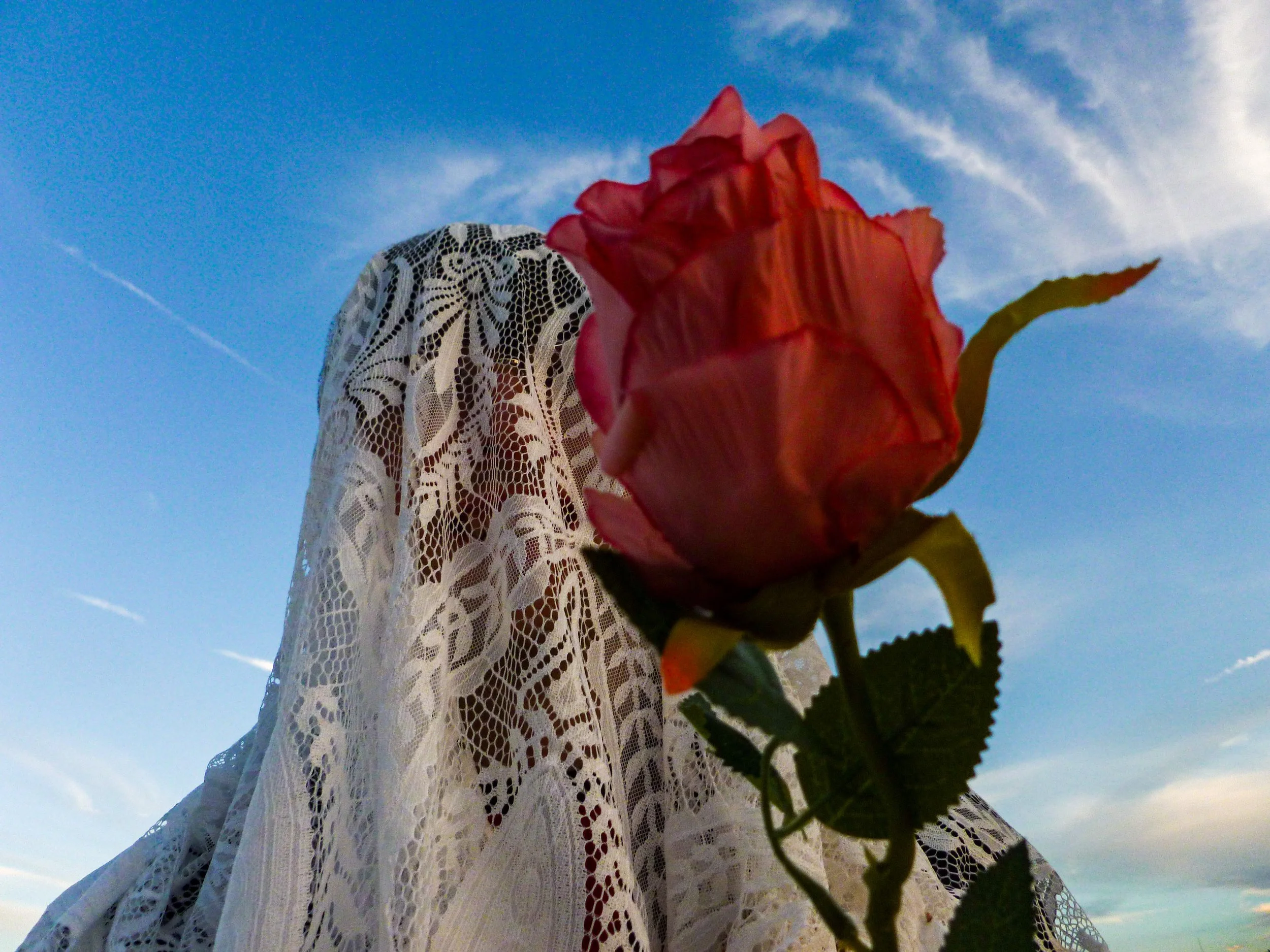 77FB61E0-8462-4C16-B033-58BFD408129D (1).jpeg