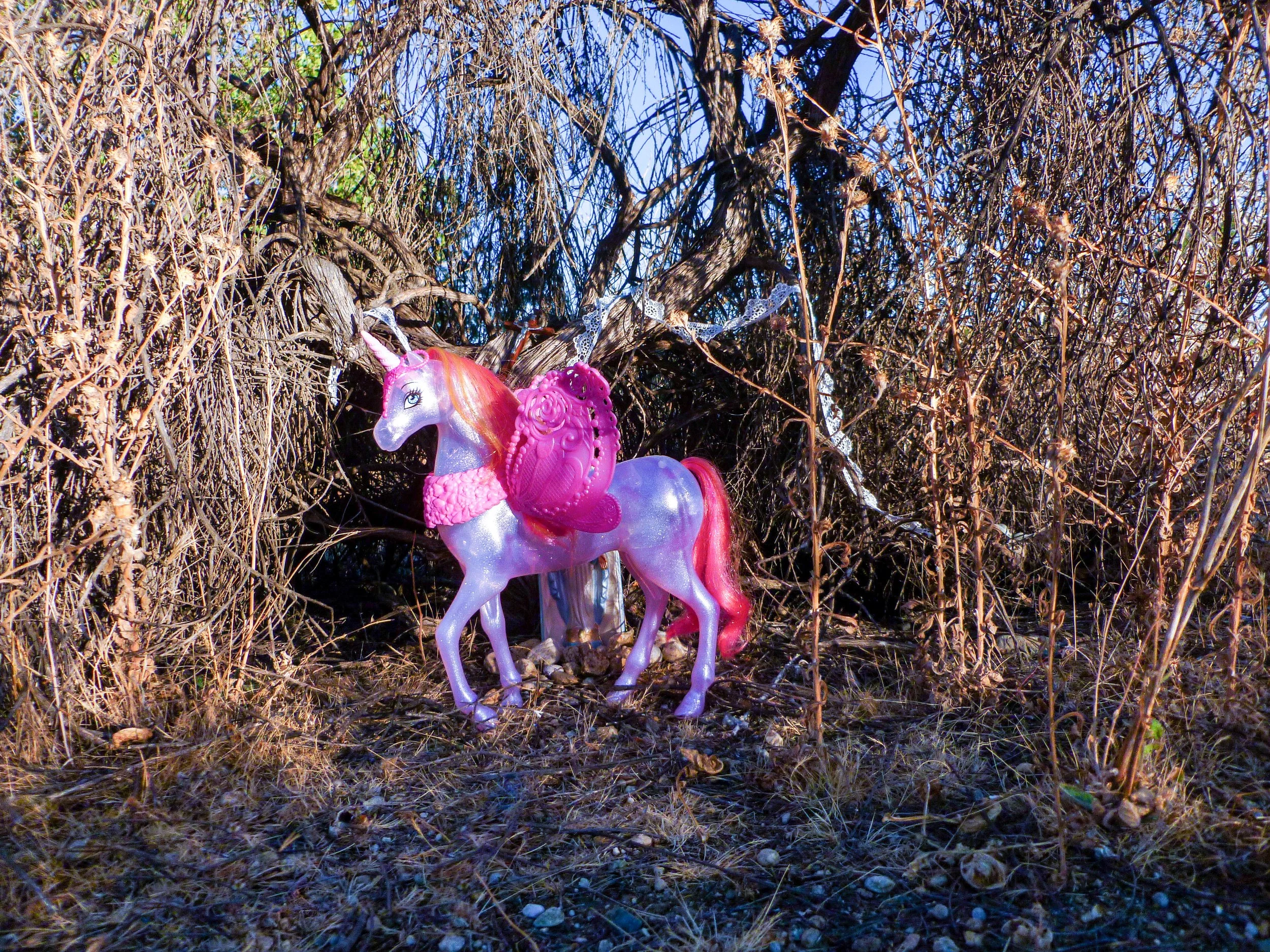 Unicorn image 1.jpeg