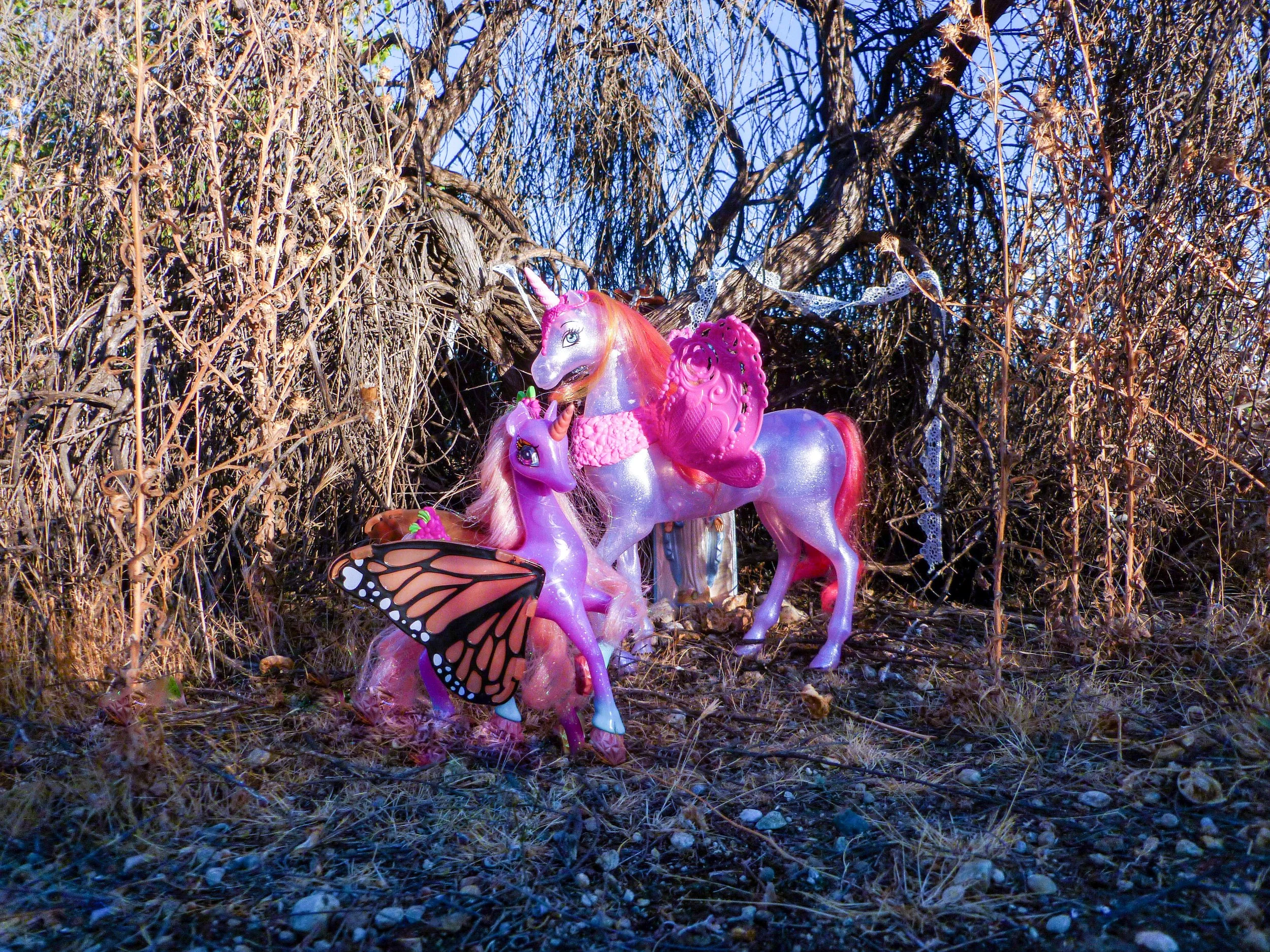 Unicorn image 2.jpeg
