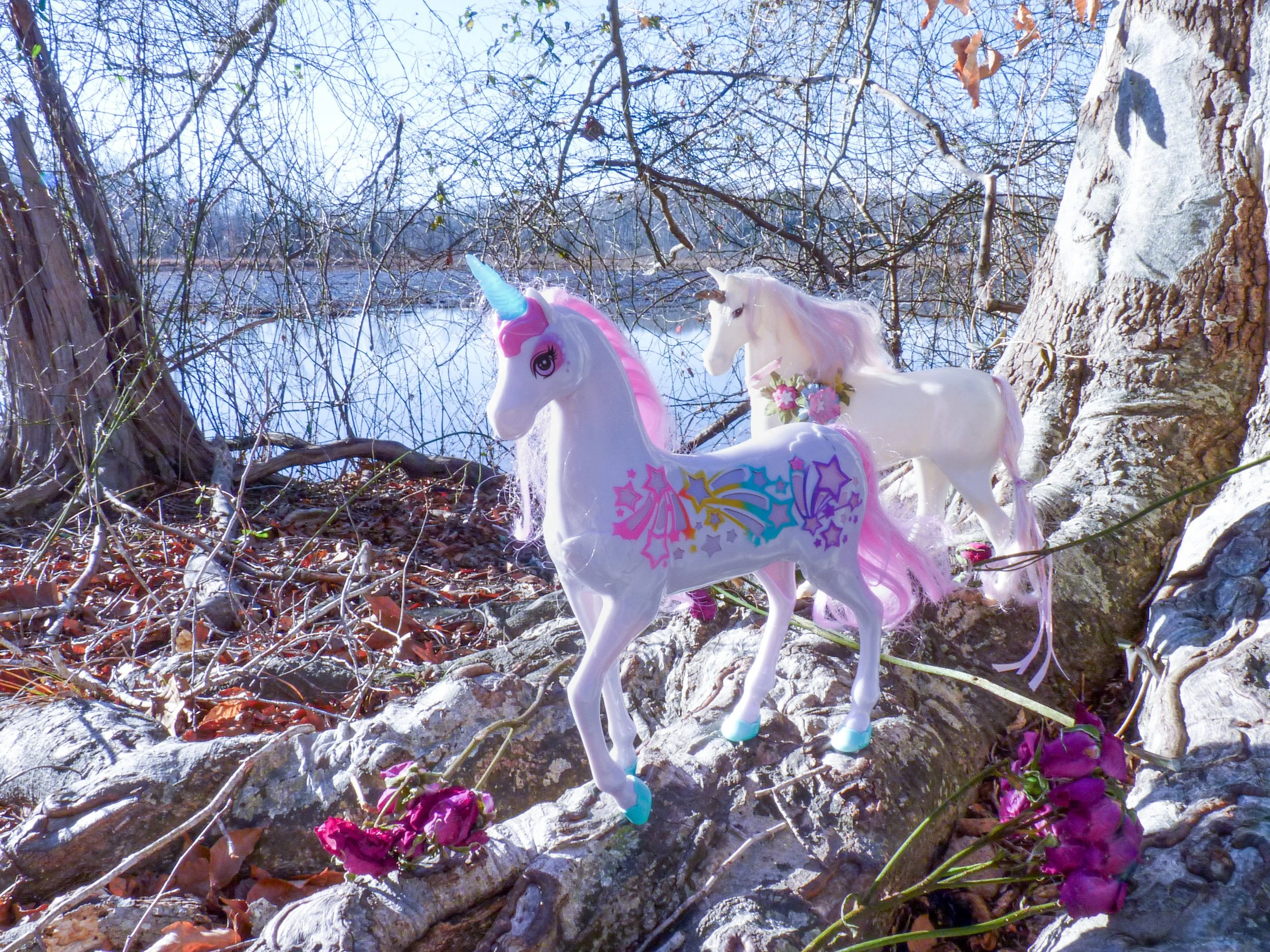 Unicorn image 4.jpeg