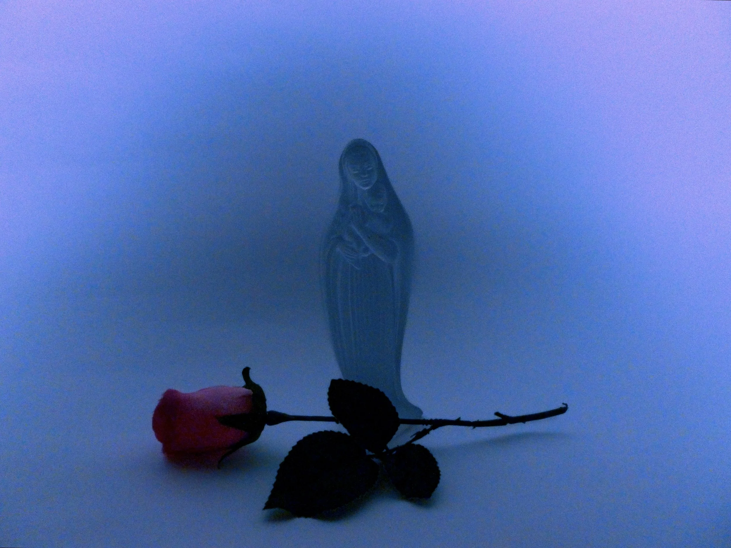 3F7B7F62-CFC7-4A55-B5E2-2DB1CCC42056 (3).jpeg