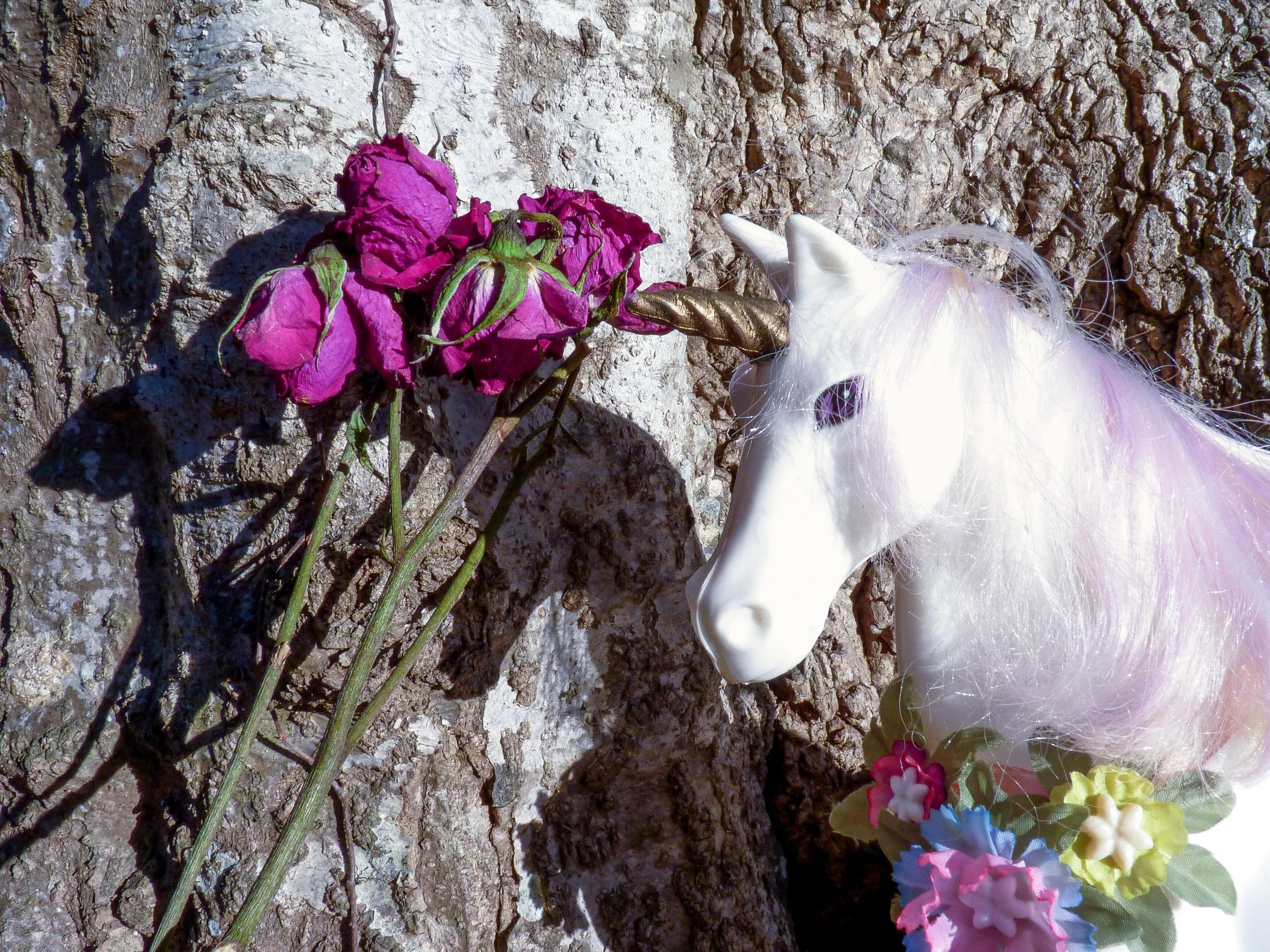 Unicorn image 3.jpeg