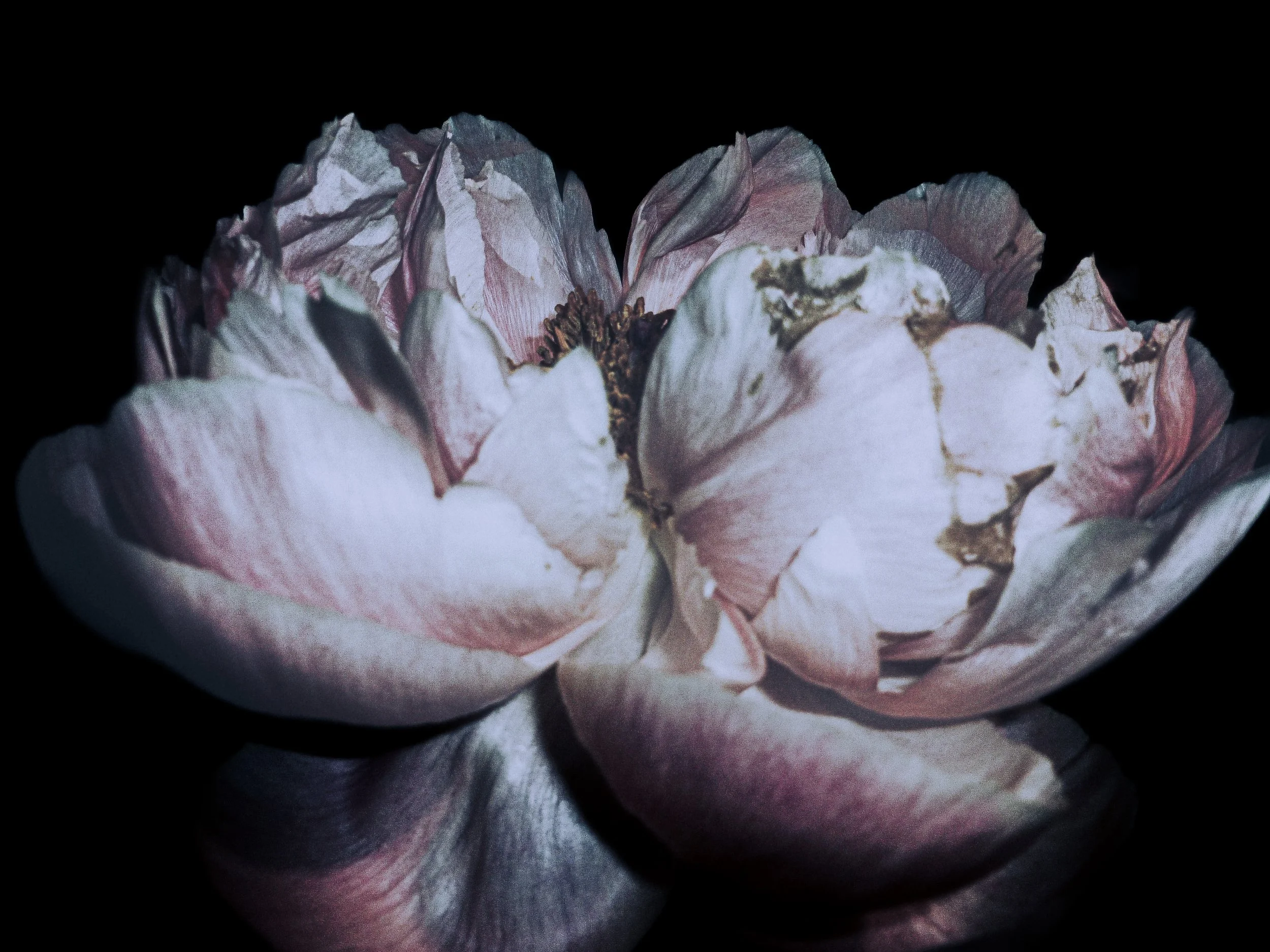 FB000447-7E43-4CCF-B733-3BF3A5FC8F55 (1).jpeg