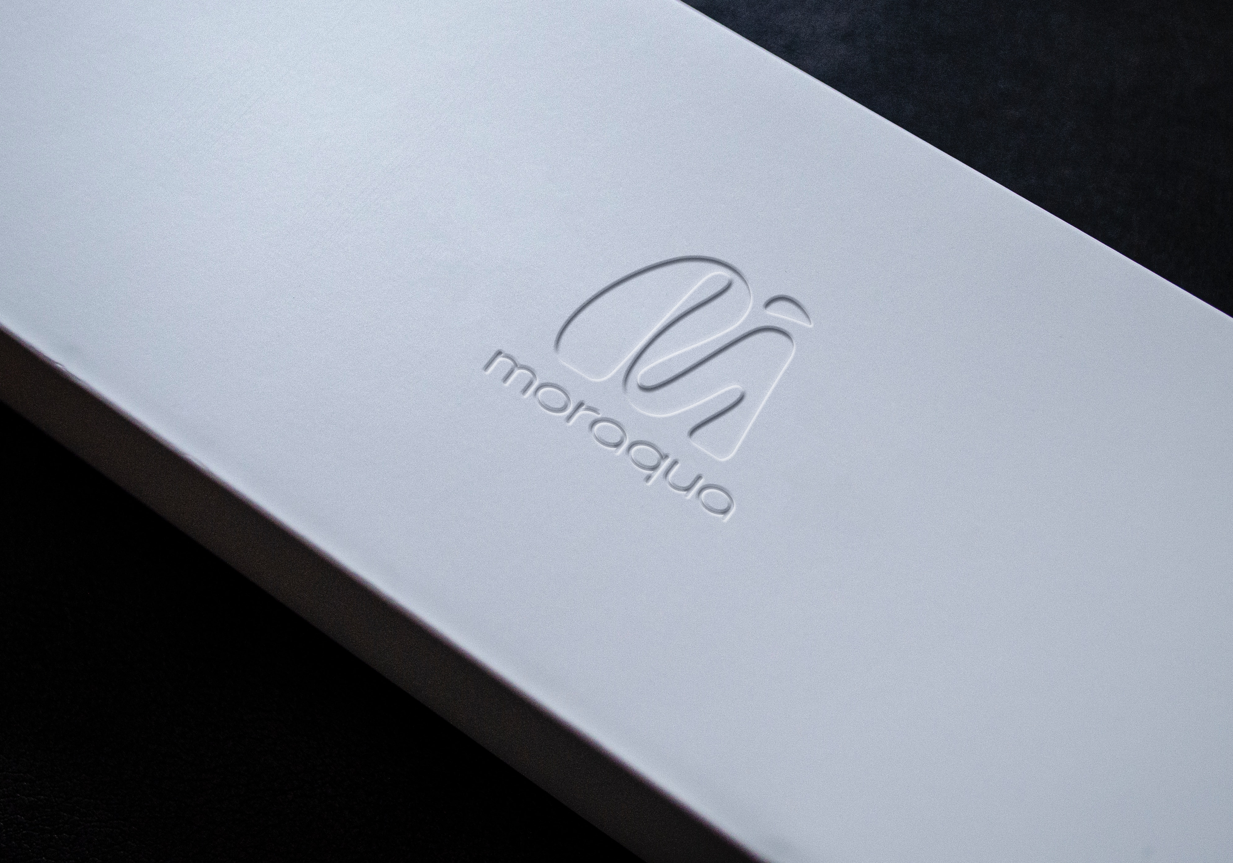 Logo Design for Moraqua, a startup that produces water filters out of the Moringa plant. 