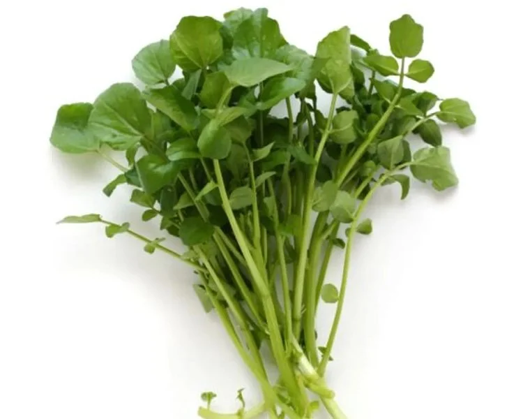 Sam's BBQ & Hotpot | All You Can Eat | Centereach | Best All You Can Eat Hot Pot & BBQ in Centereach, NY 11720