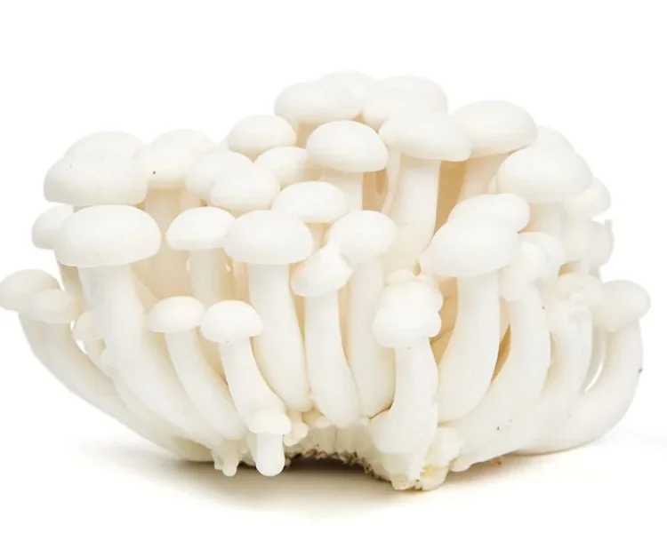 Sam's BBQ & Hotpot | All You Can Eat | Centereach | Best All You Can Eat Hot Pot & BBQ in Centereach, NY 11720