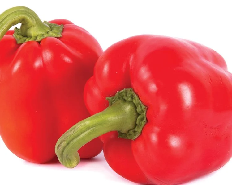 Sam's BBQ & Hotpot | All You Can Eat | Centereach | Best All You Can Eat Hot Pot & BBQ in Centereach, NY 11720