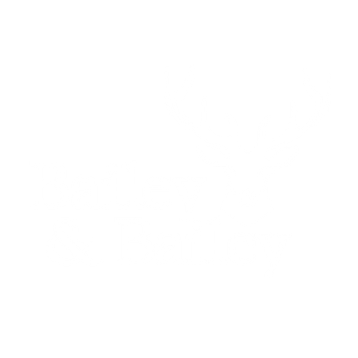 Bailey &amp; Bailey Advisors