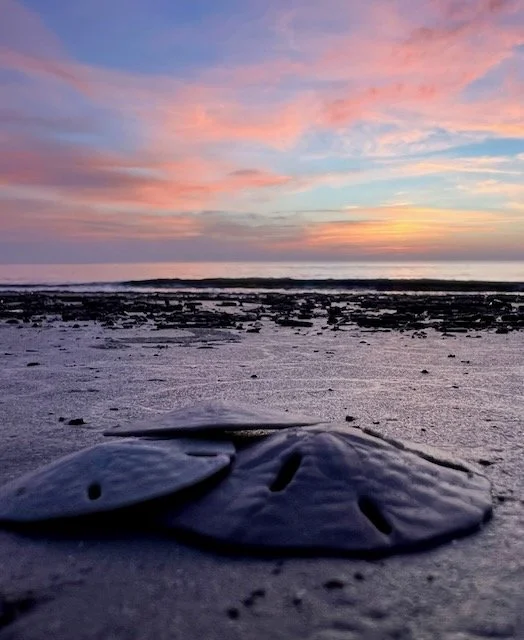 The Day the Ocean Held My Broken pieces