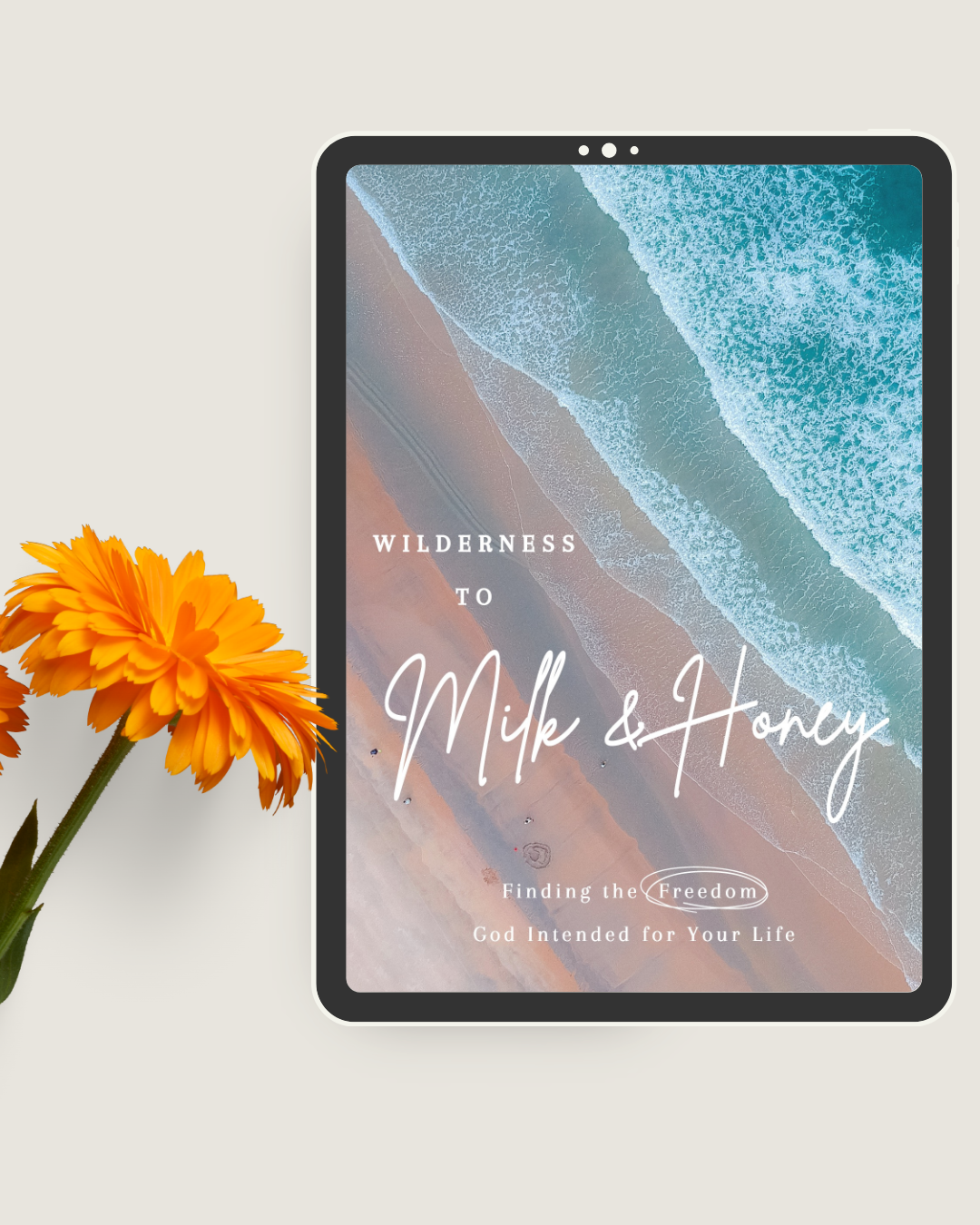 Wilderness to Milk & Honey