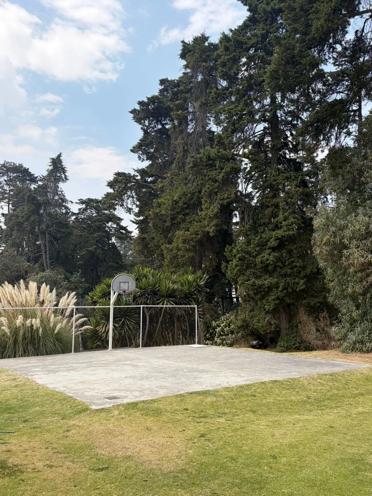 WhatsApp Image 2026-03-11 at 14.48.56 (5).jpeg