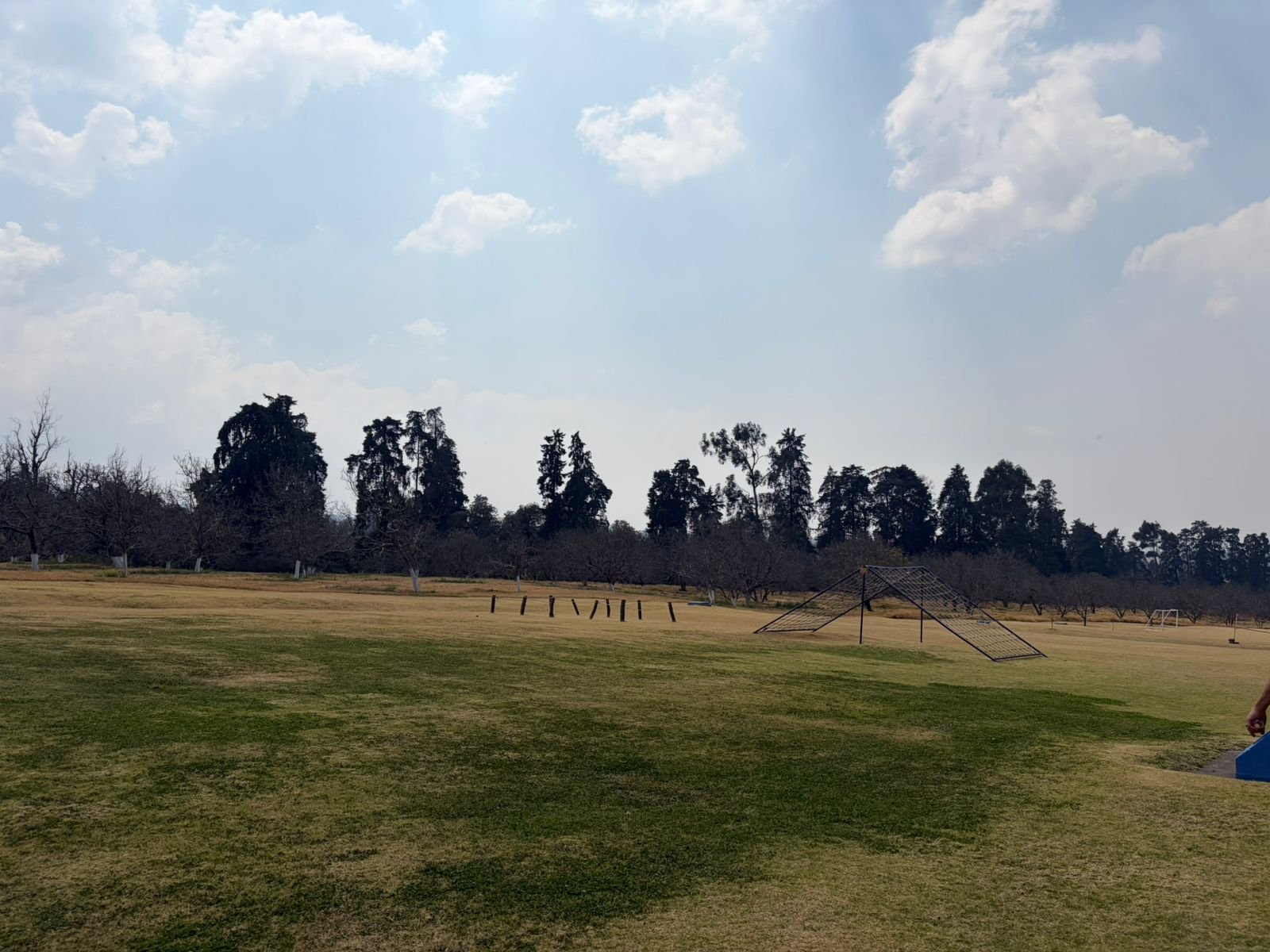 WhatsApp Image 2026-03-11 at 14.48.56.jpeg