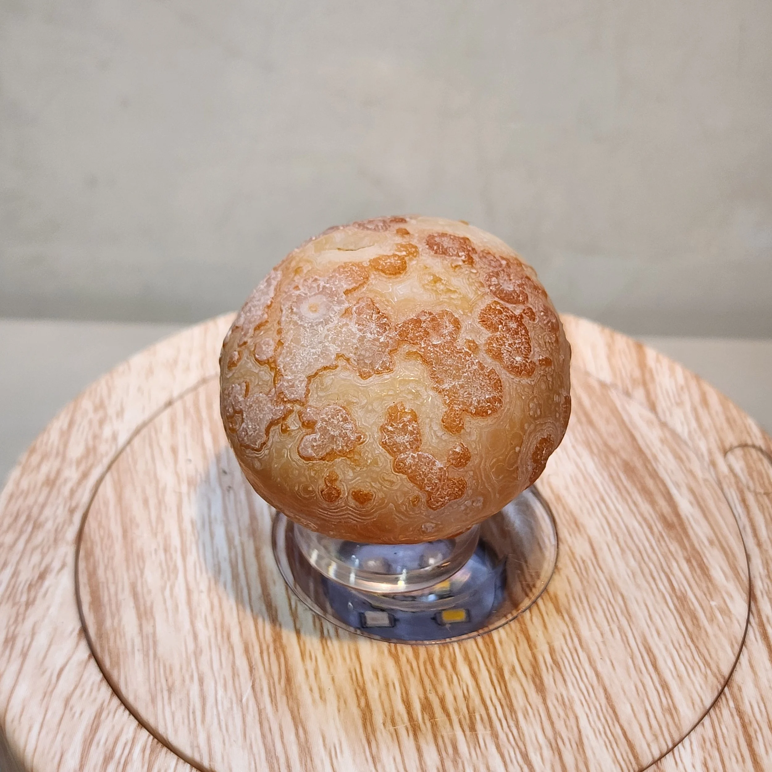 GOBI-002-3.jpg