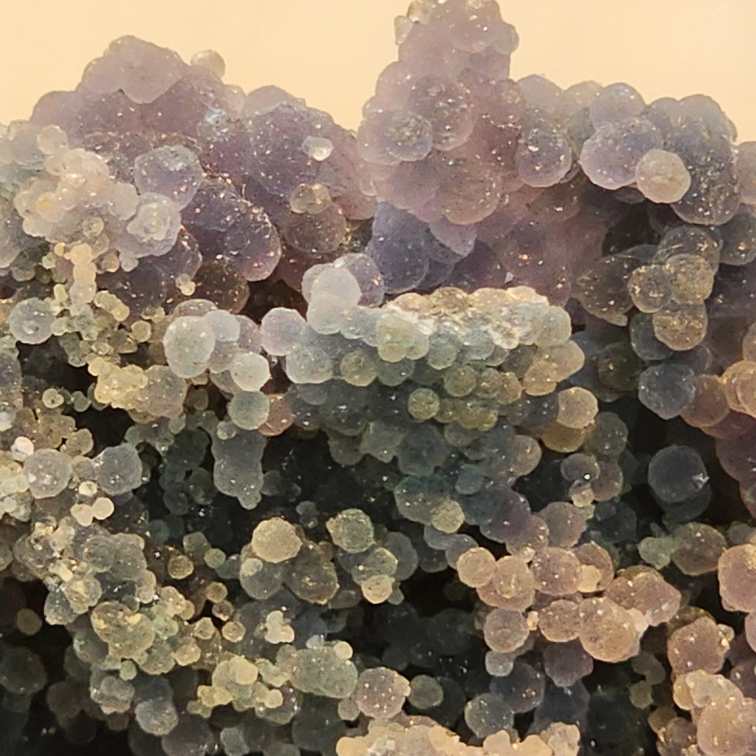 SPCM-GRAPE-001-5.jpg